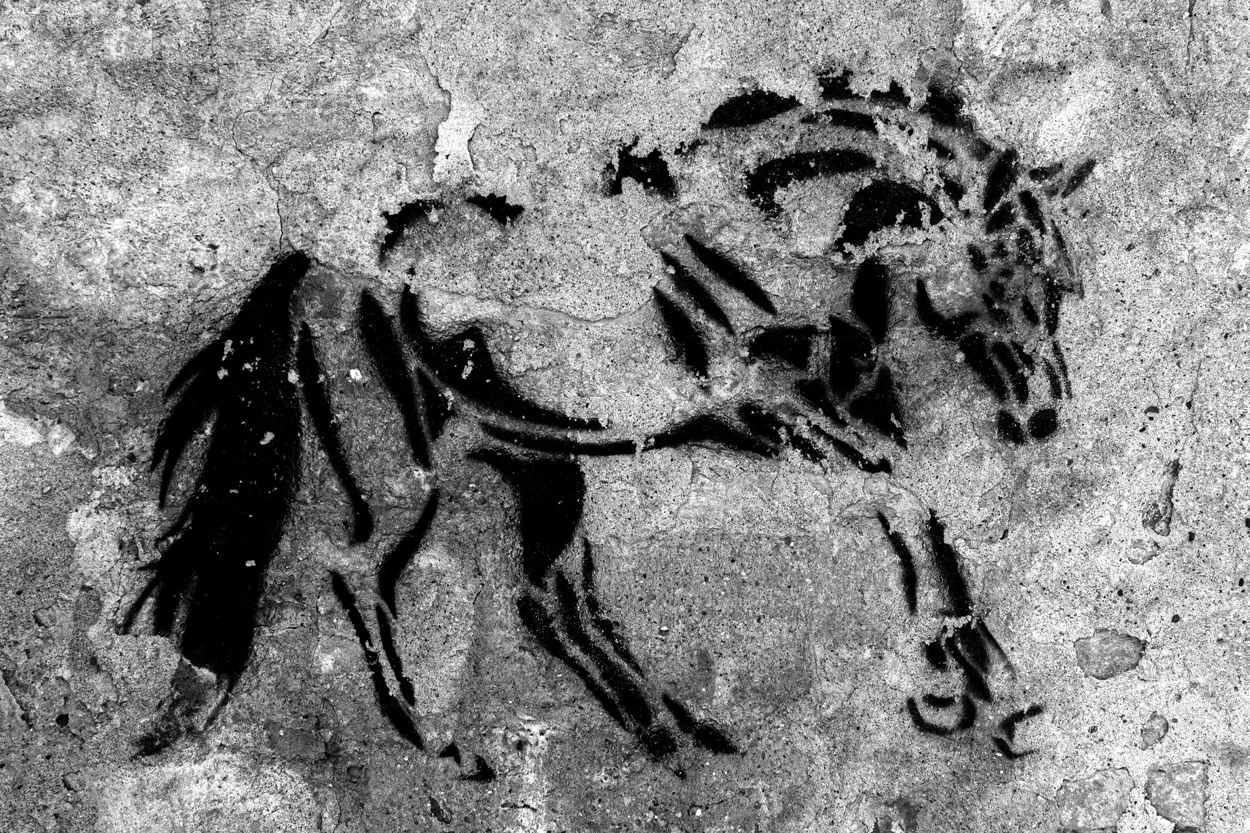 Horse copy.jpg