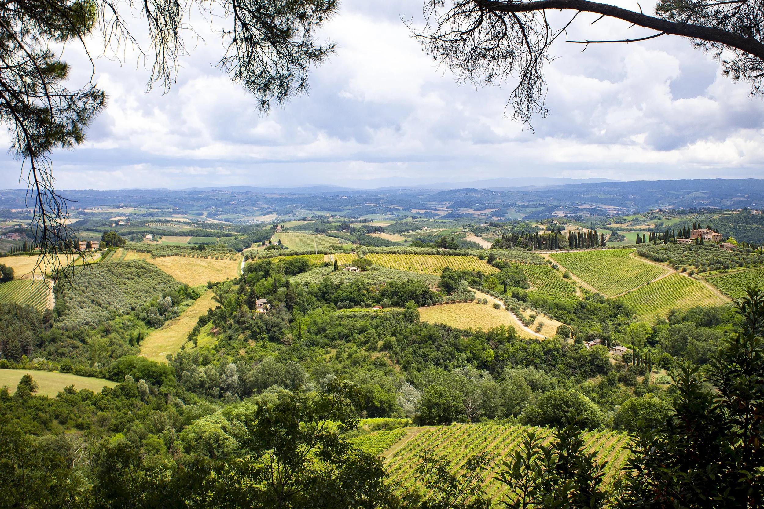 saye_a_landscape_4.jpg