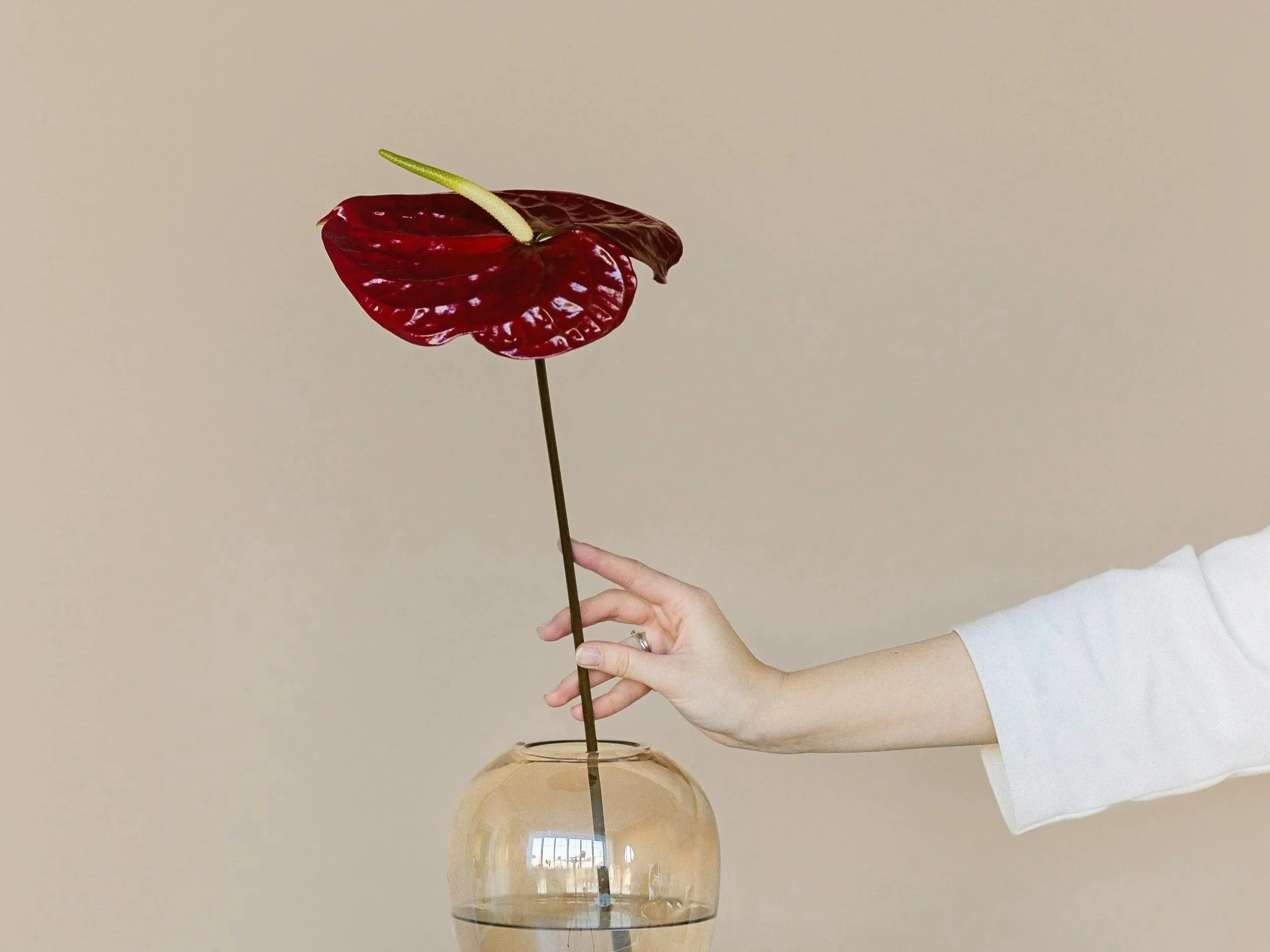 Pleasure Is the Measure: Rethinking Libido, Desire, and Intimacy. 