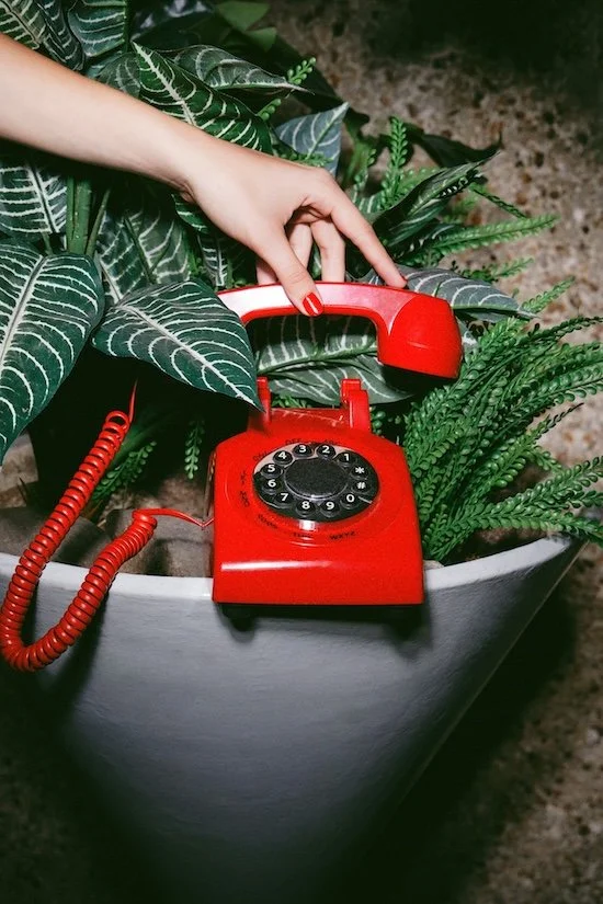 Close-up of a woman’s hand with red nails picking up a landline phone, symbolizing reaching out for support
