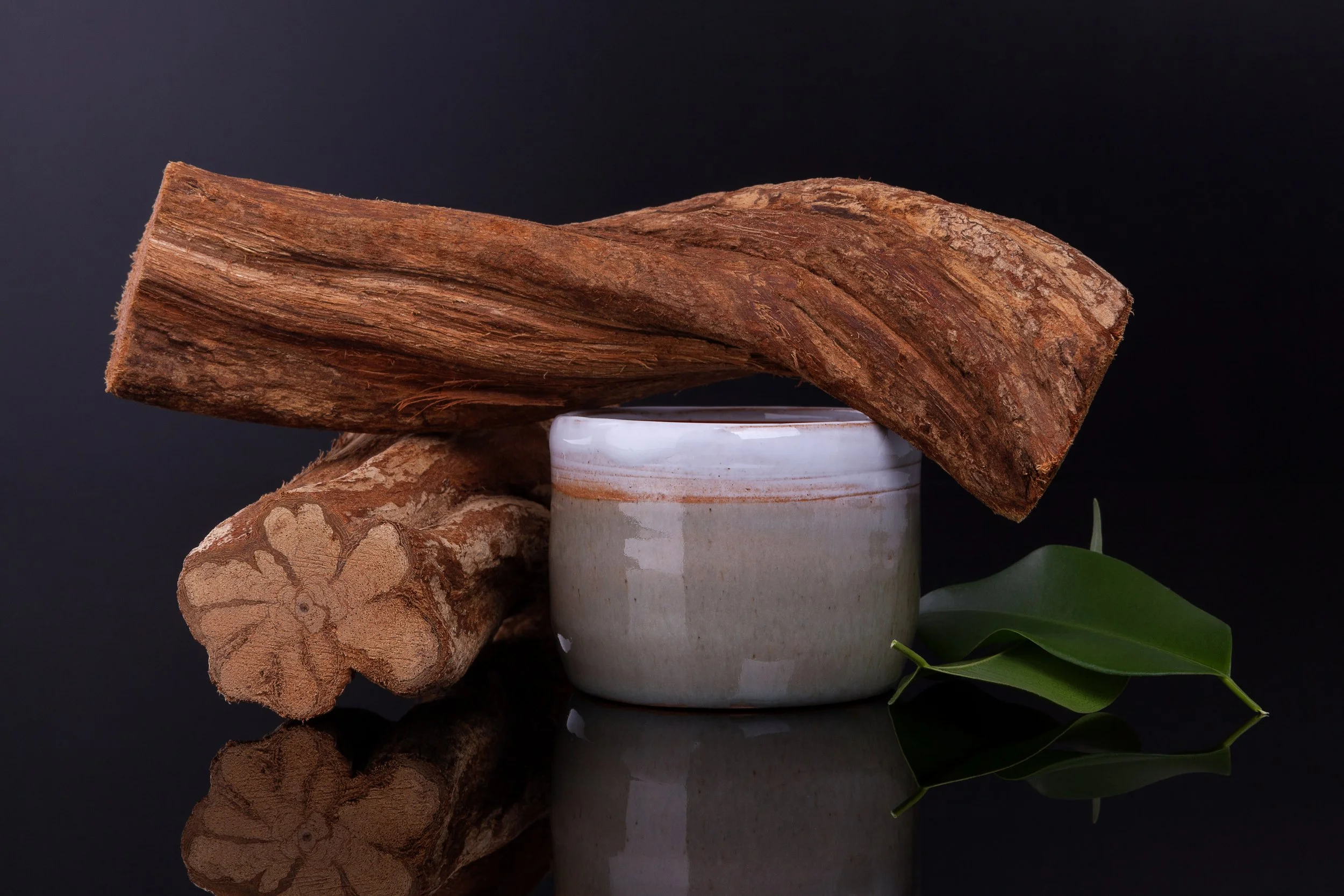Foundations of Ayahuasca