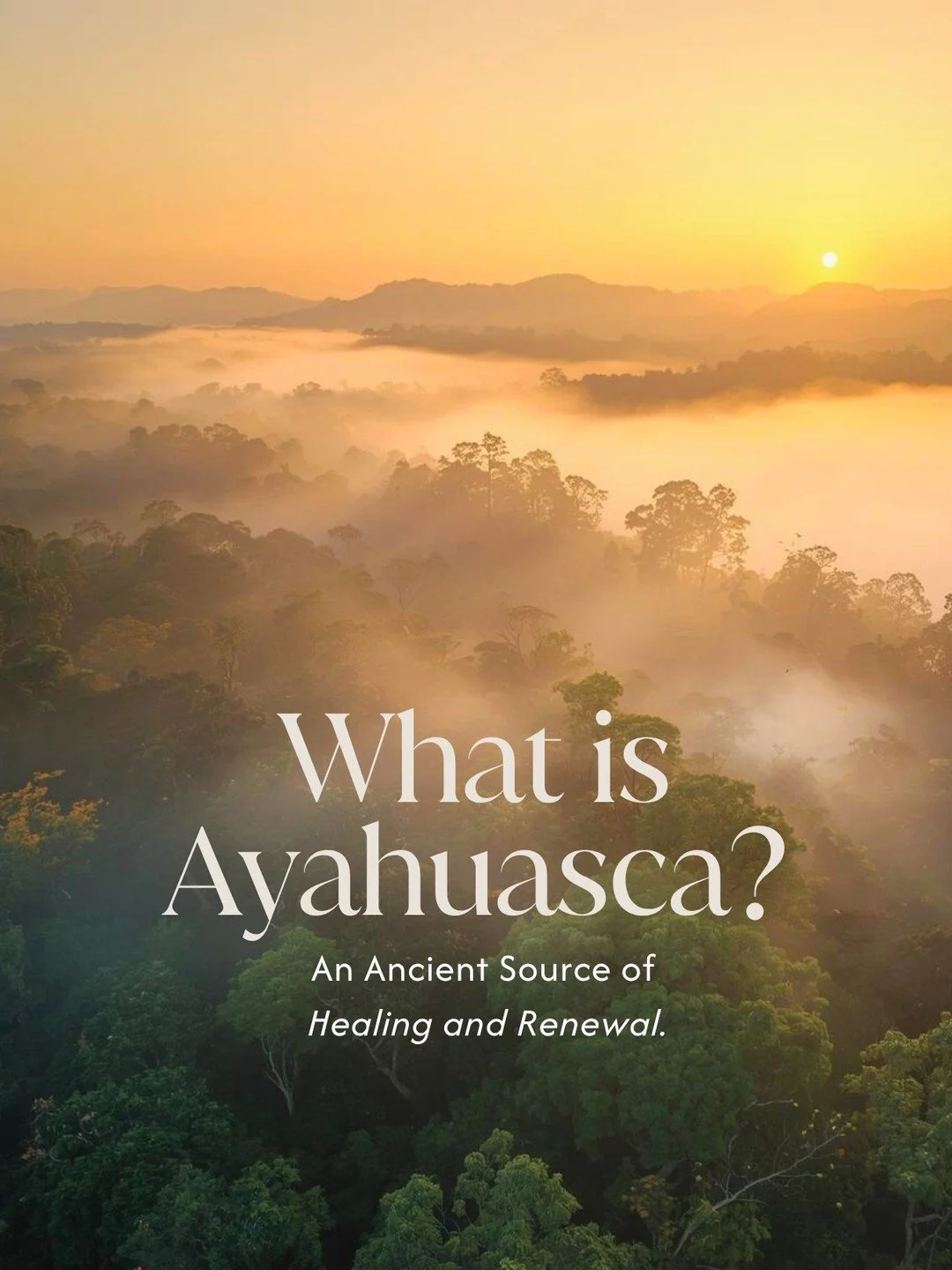 &quot;When we sit with Ayahuasca, we call in something new by releasing the old and unhelpful, remembering who we truly are, and experiencing the light we are made of.&quot;