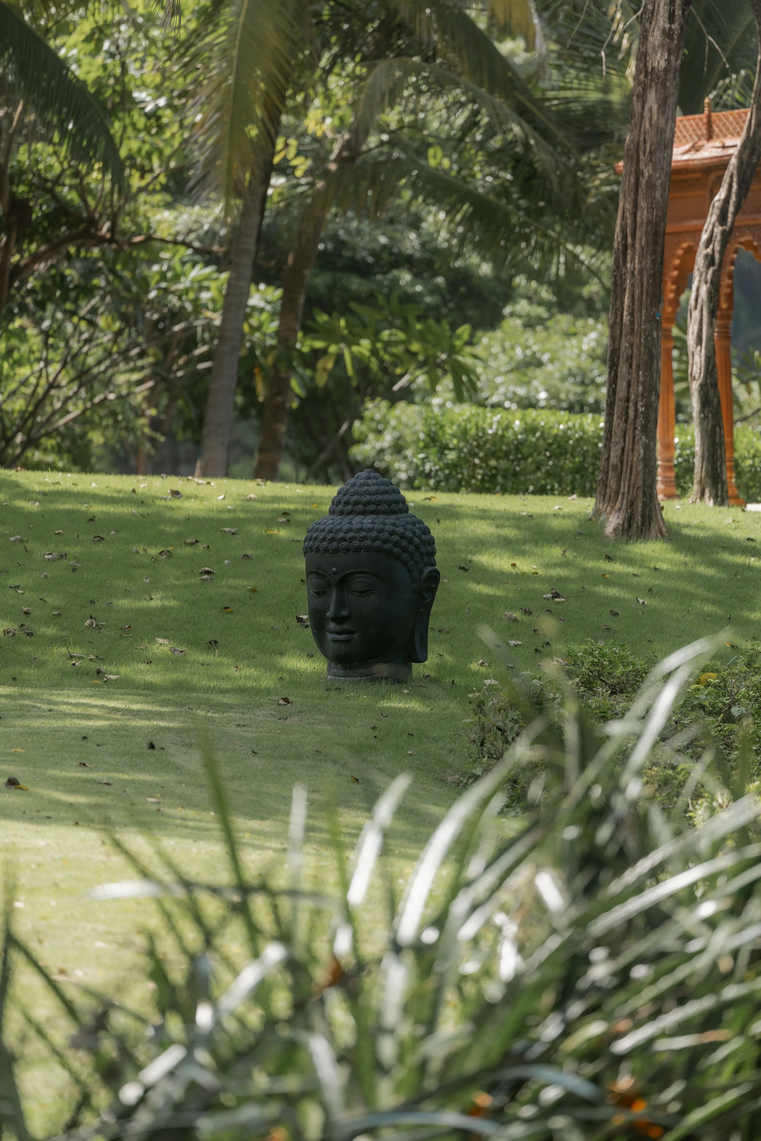 If Ayahuasca Is So Profoundly Helpful, How Could I Still Have Anything Left to Work On?