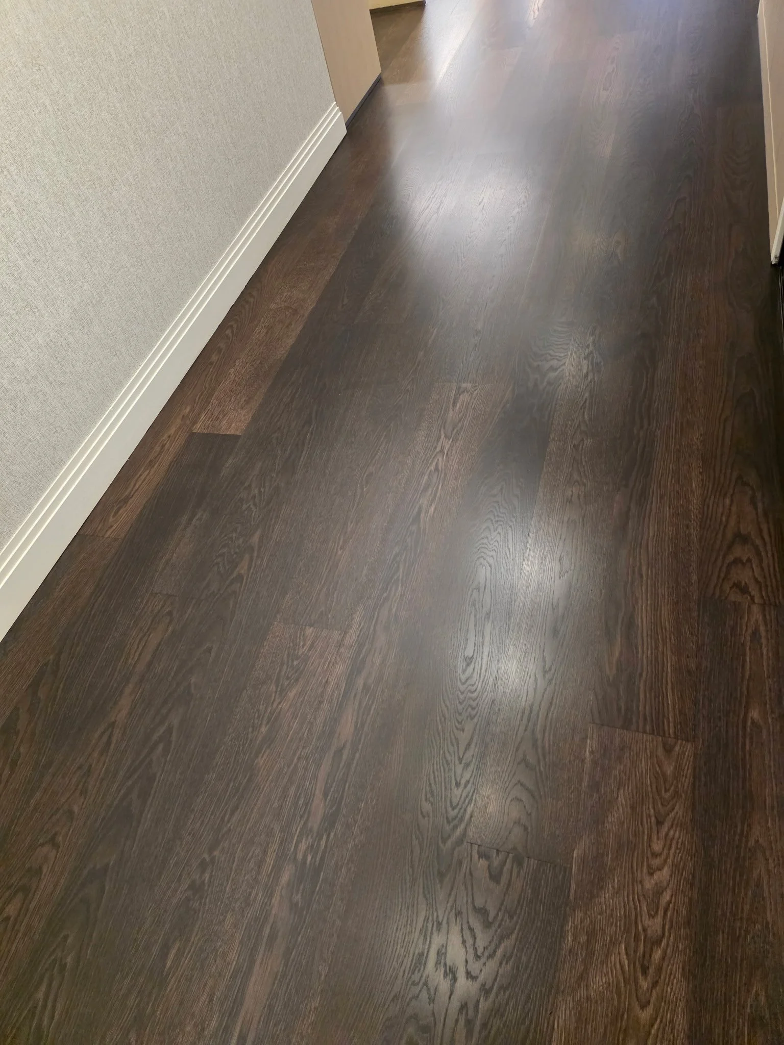 20260529_084848.JPG
