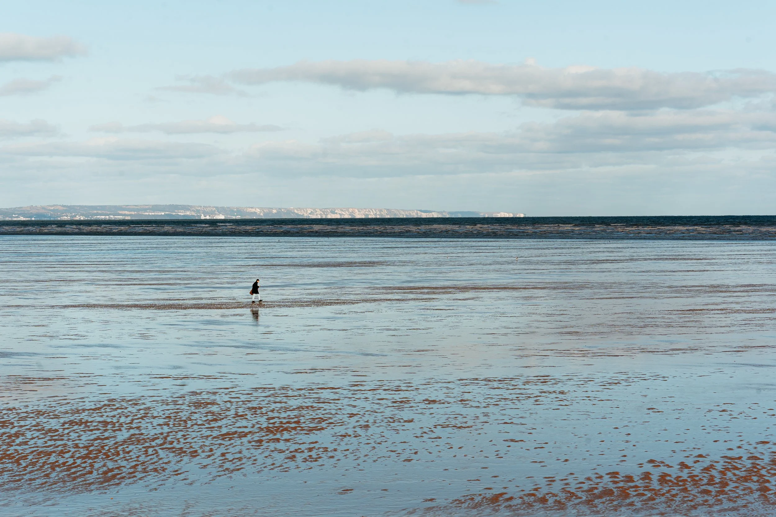 _DSC3515.jpg