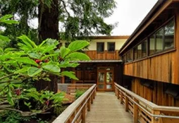 Wooden building surrounded by trees with a pathway leading to the entrance and greenery on the sides.