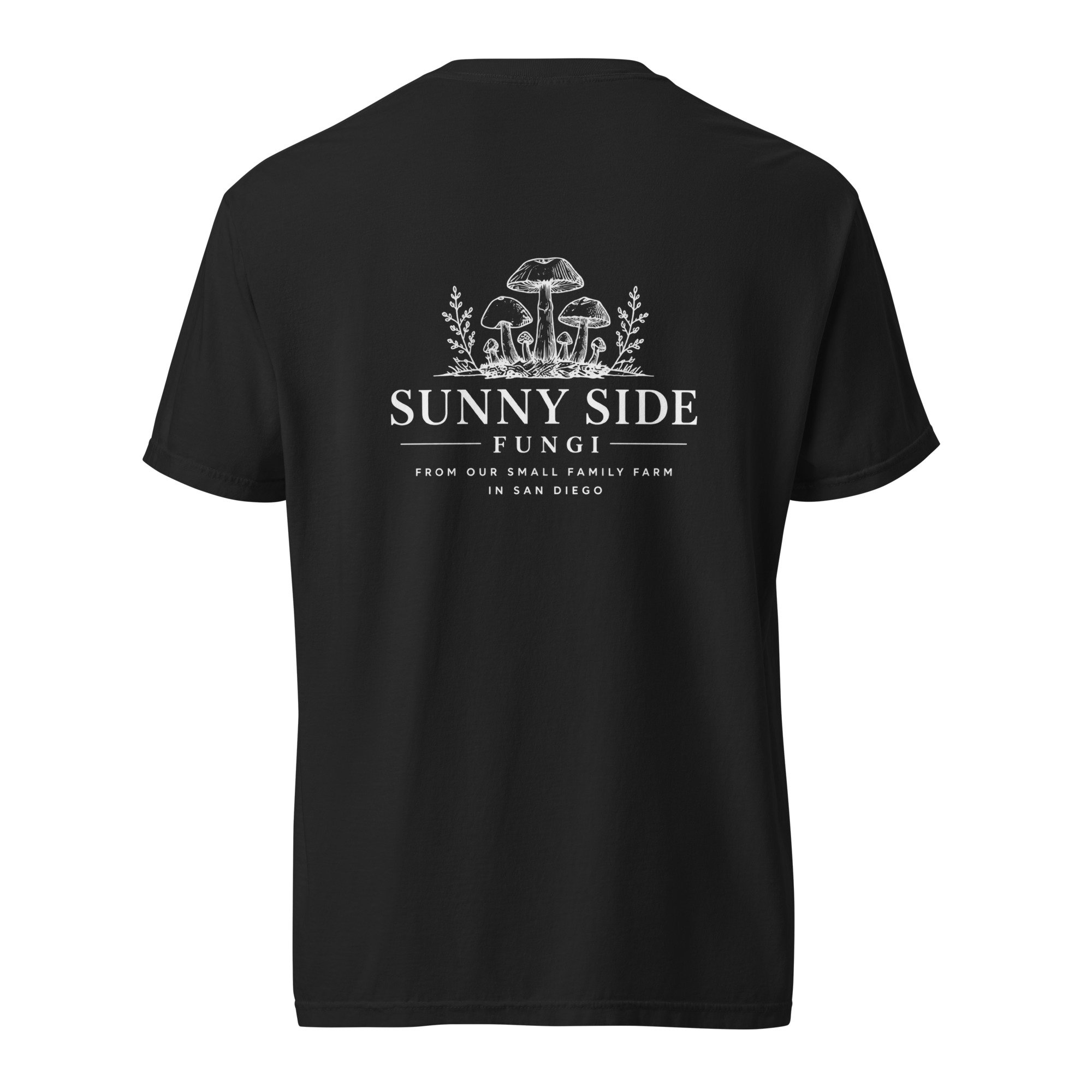 unisex-garment-dyed-heavyweight-t-shirt-black-back-6ad93bc0dfd72.jpg