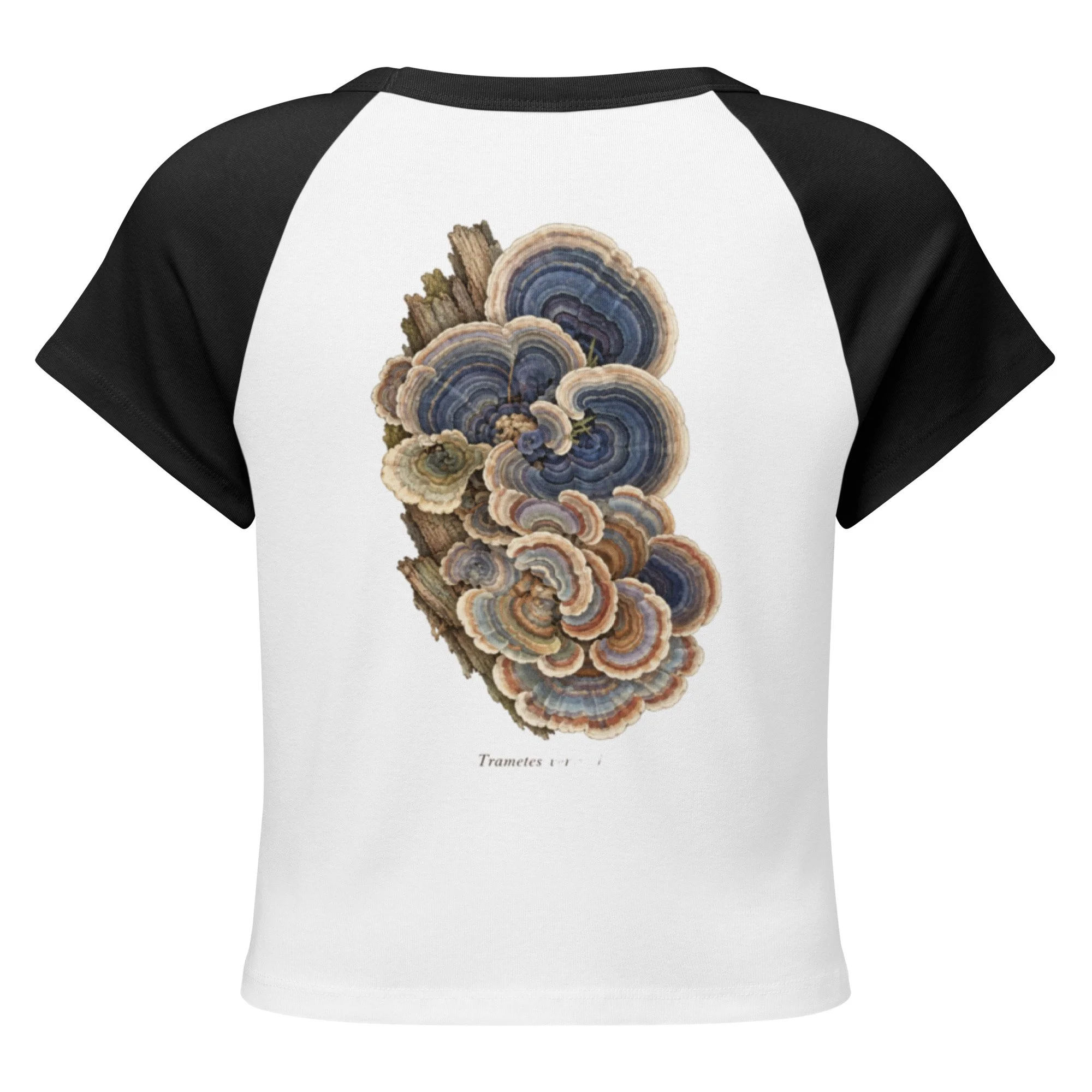womens-micro-rib-raglan-baby-tee-white-black-back-6addc1a07e4fd.jpg