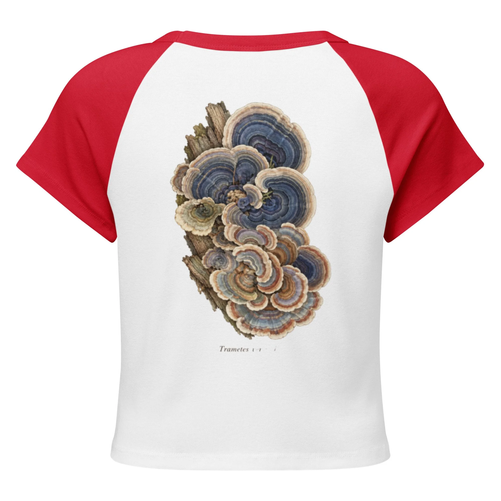 womens-micro-rib-raglan-baby-tee-white-red-back-6addc1a07e52c.jpg