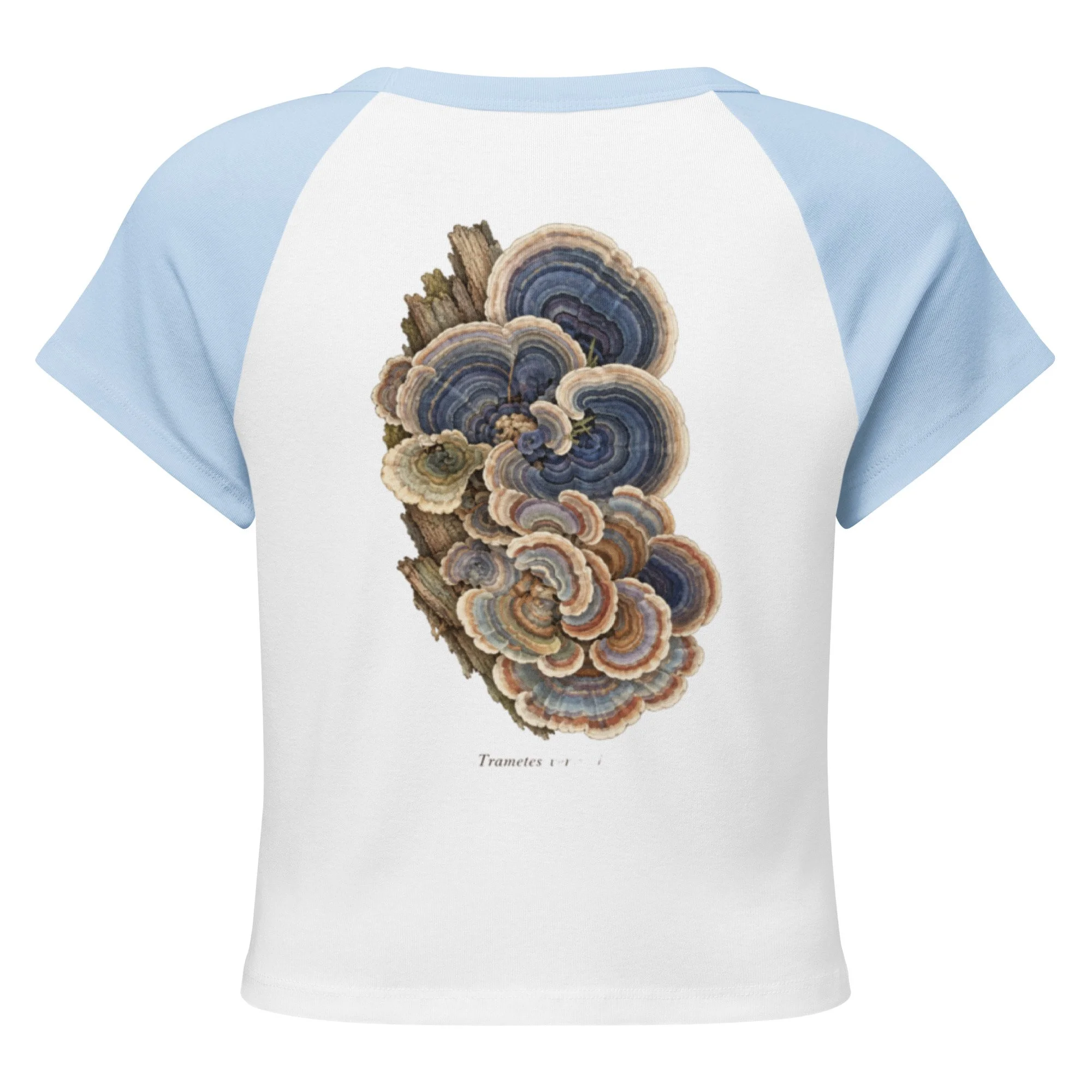 womens-micro-rib-raglan-baby-tee-white-baby-blue-back-6addc1a07e4ad.jpg
