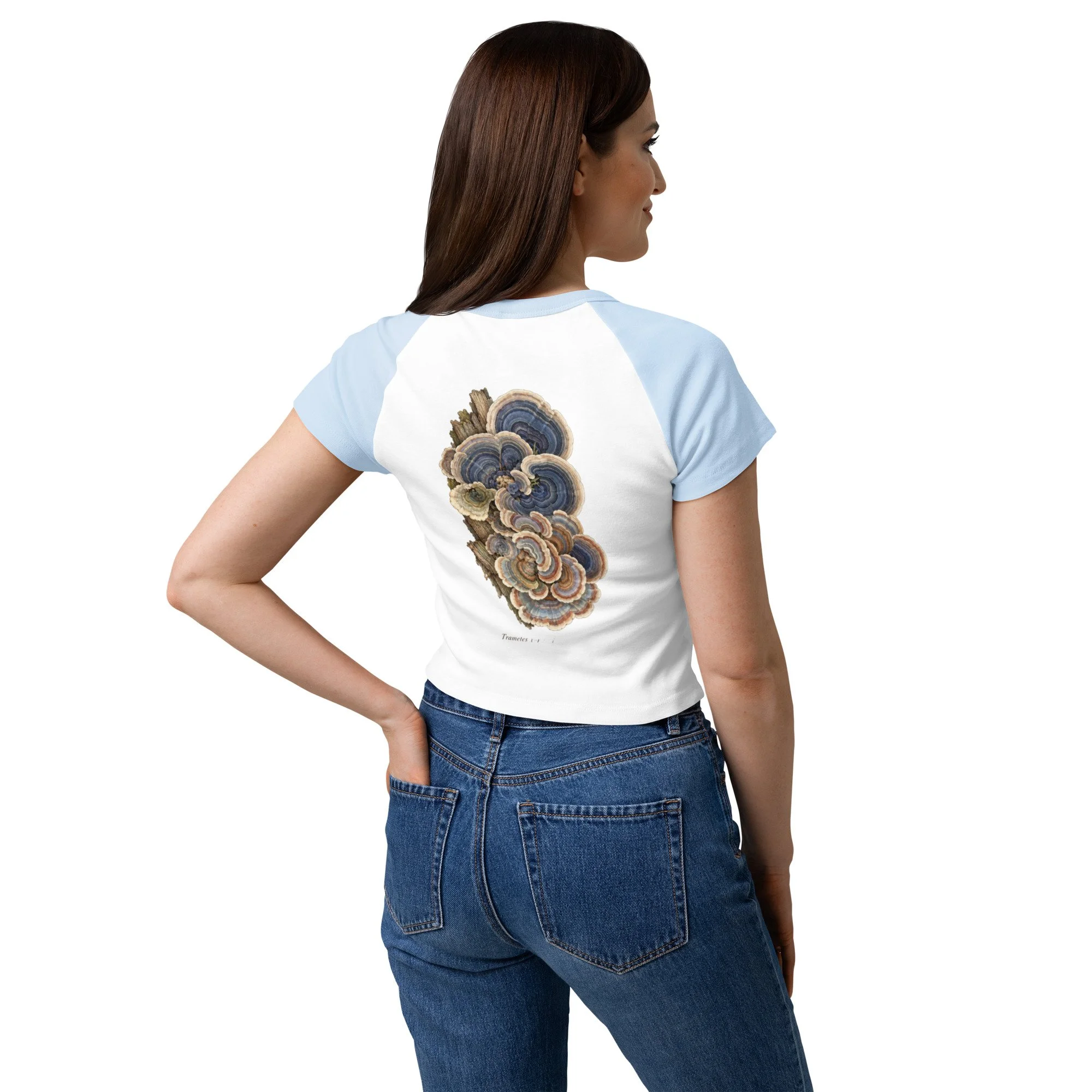 womens-micro-rib-raglan-baby-tee-white-baby-blue-back-6addc1a07f927.jpg