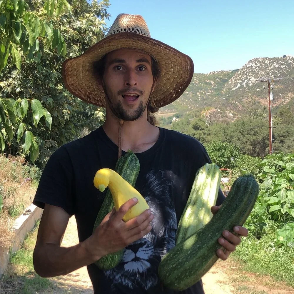 A man wearing a large straw hat holds several large zucchinis and a yellow squash in a garden with green plants and trees, mountains, and a blue sky in the background.