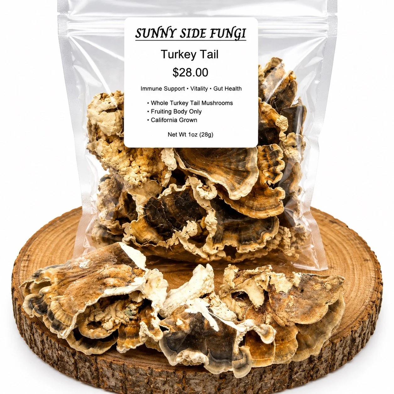 Whole Dried Turkey Tail Mushroom