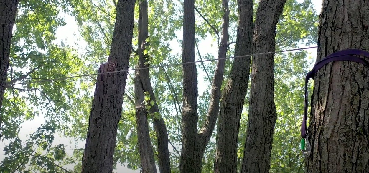 A treestand with a safety harness strap attached to a tree in a wooded area.
