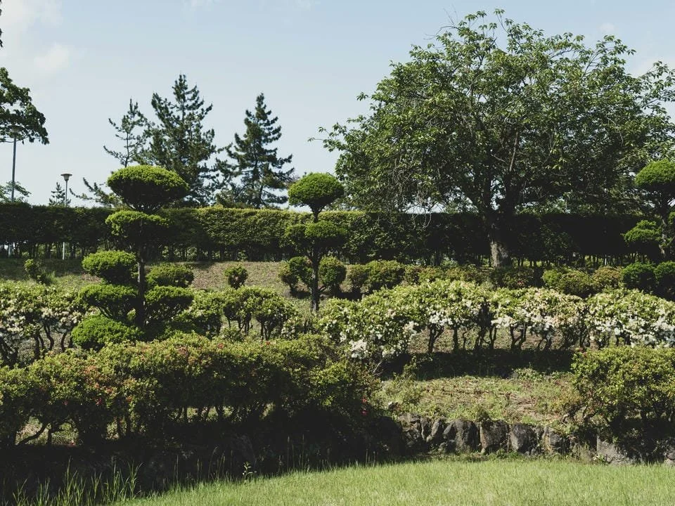 A landscaped garden with trimmed bushes and trees of various heights and shapes, and a grassy foreground.