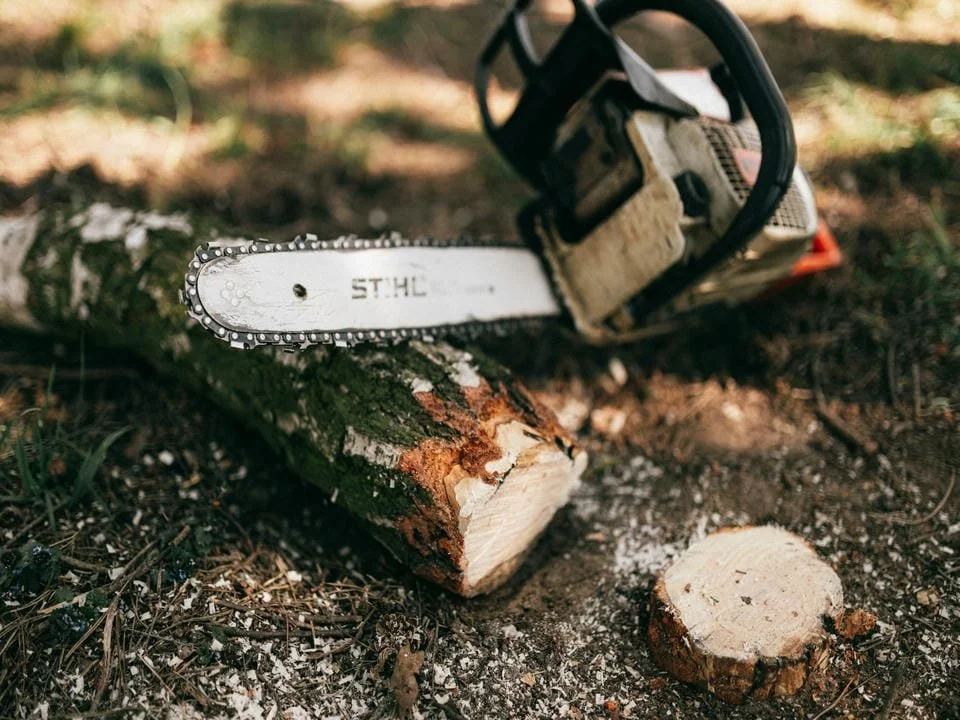 A chainsaw lying on a cut log outdoors with wood chips and dirt on the ground.