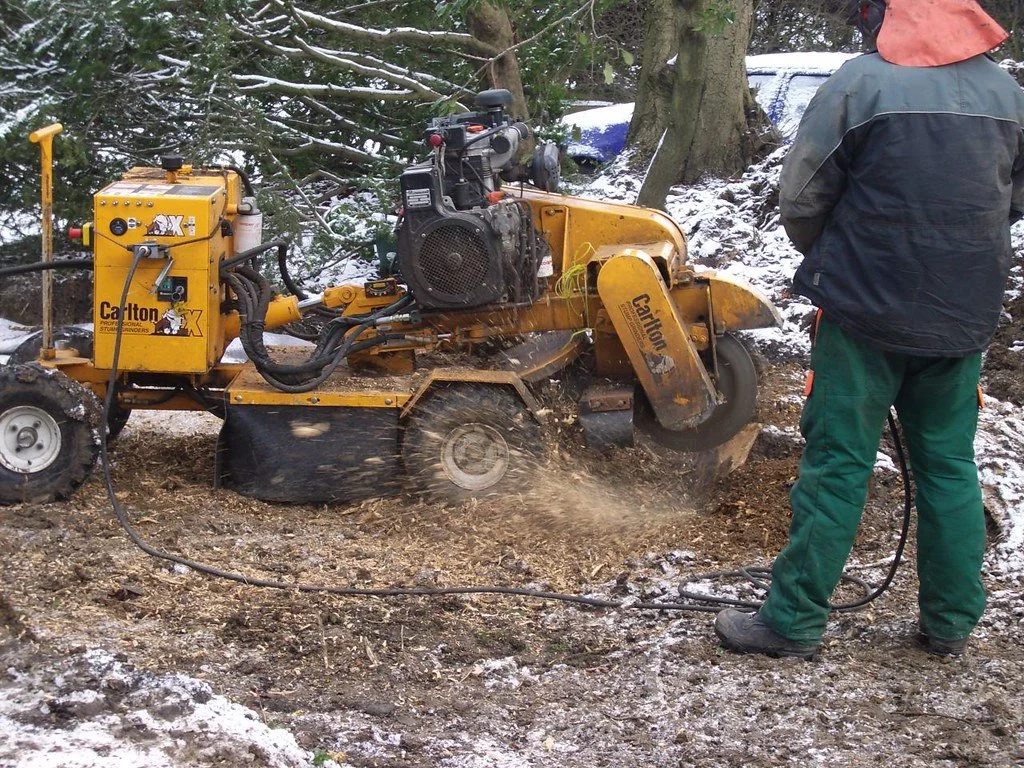 Worker operating a large yellow stump grinding machine outdoors on a snow-covered ground with trees in the background.