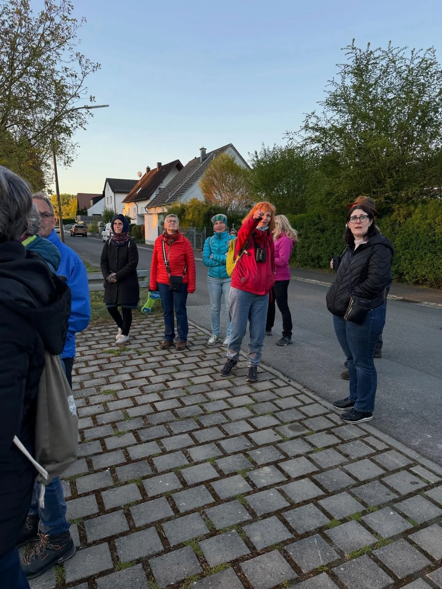 Vogelstimmen-              wanderung