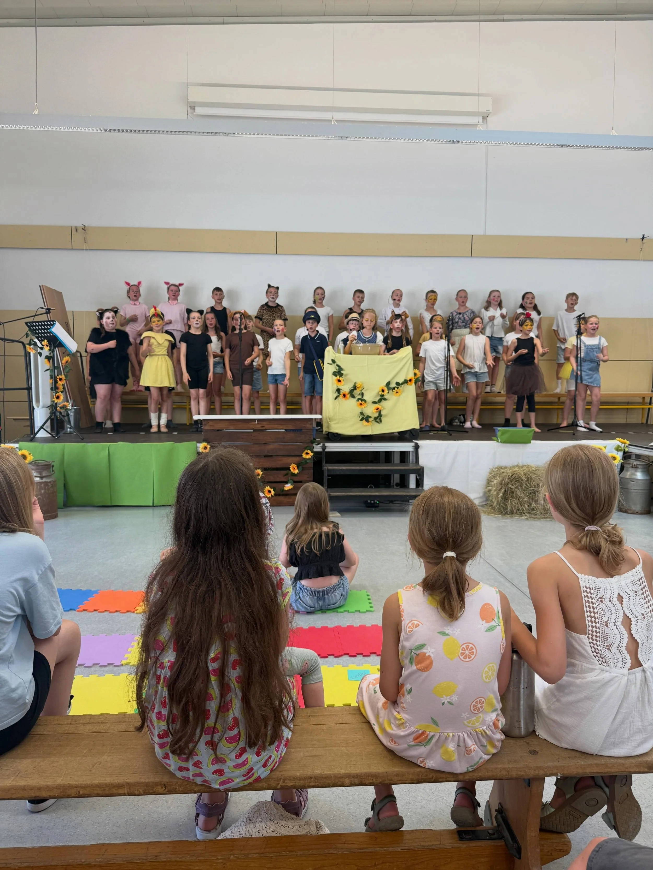 Schulmusical GMS Hirschaid