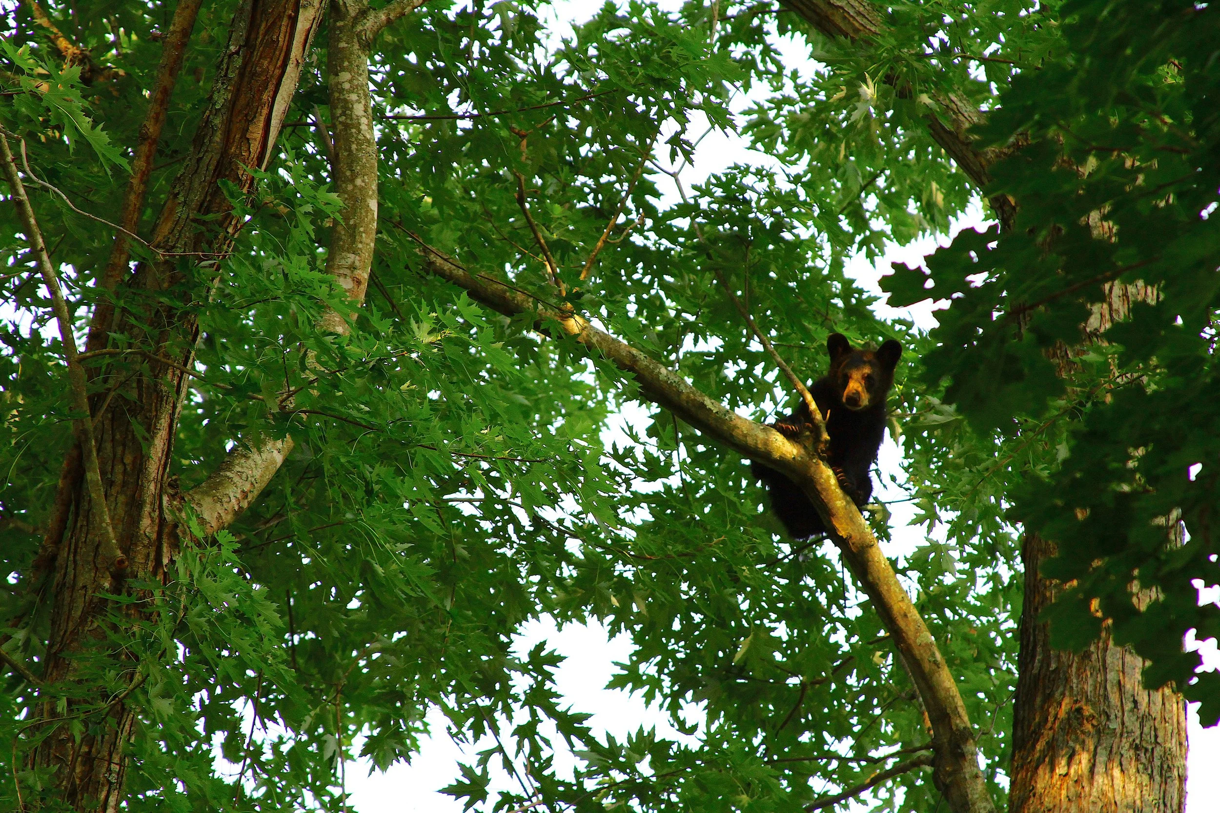 IMG_0405 copy 2.JPG