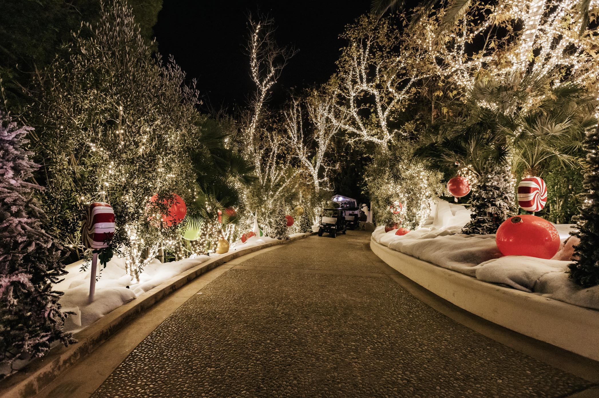 Screen Shot 2022-12-13 at 9.15.42 AM.png