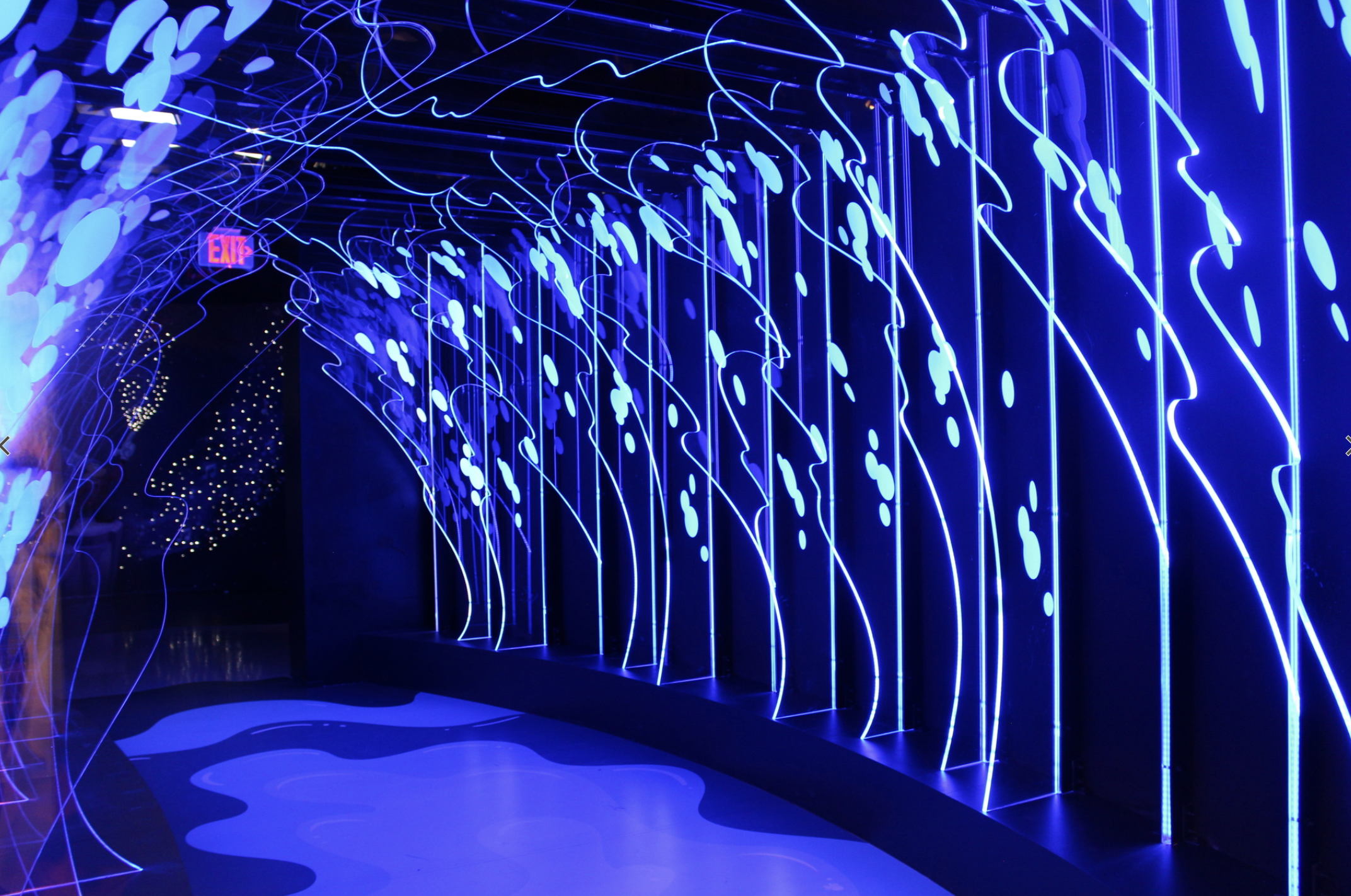 Screenshot 2025-02-26 at 11.34.01 AM.png