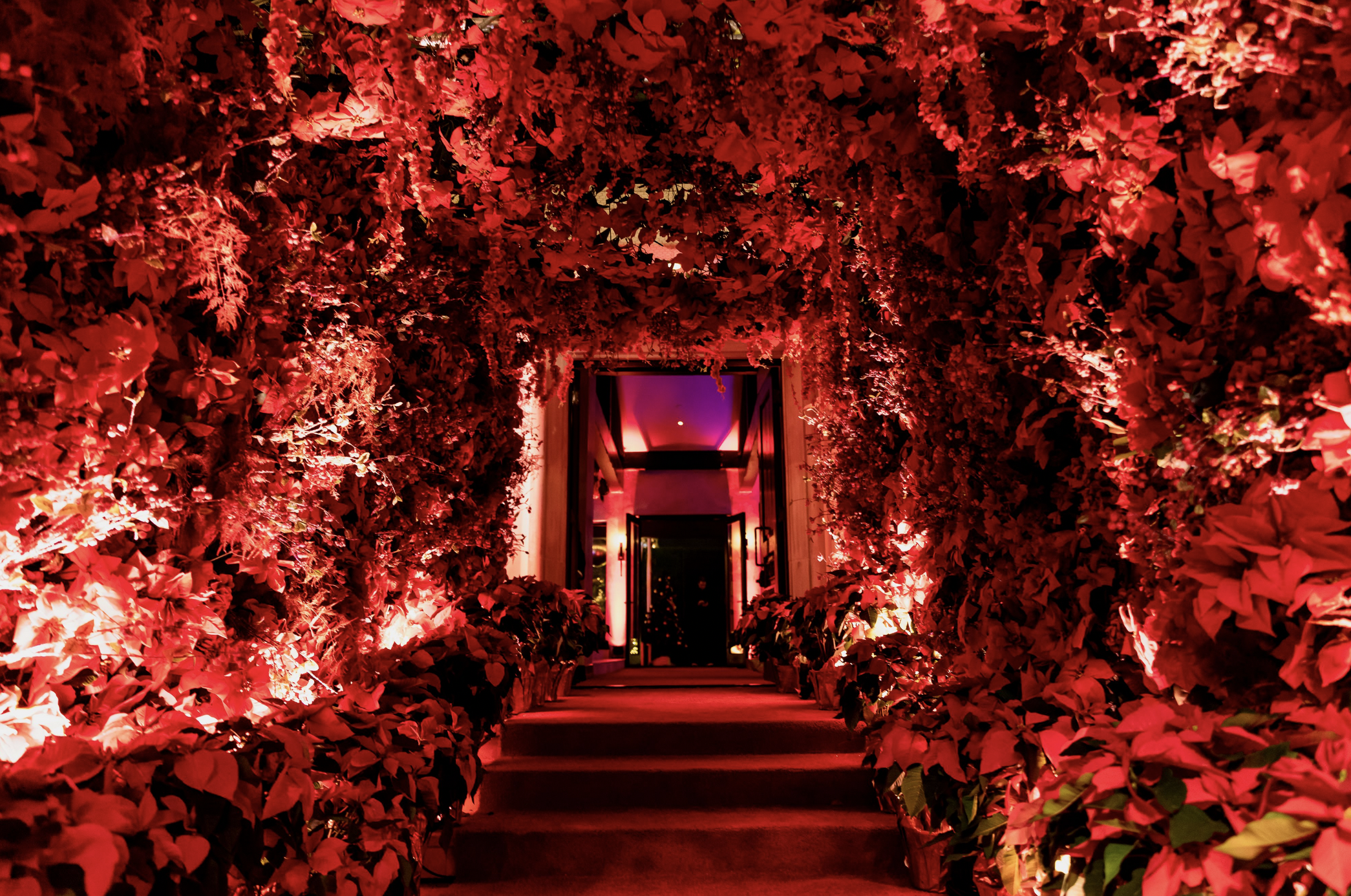 Screen Shot 2022-12-13 at 9.11.45 AM.png