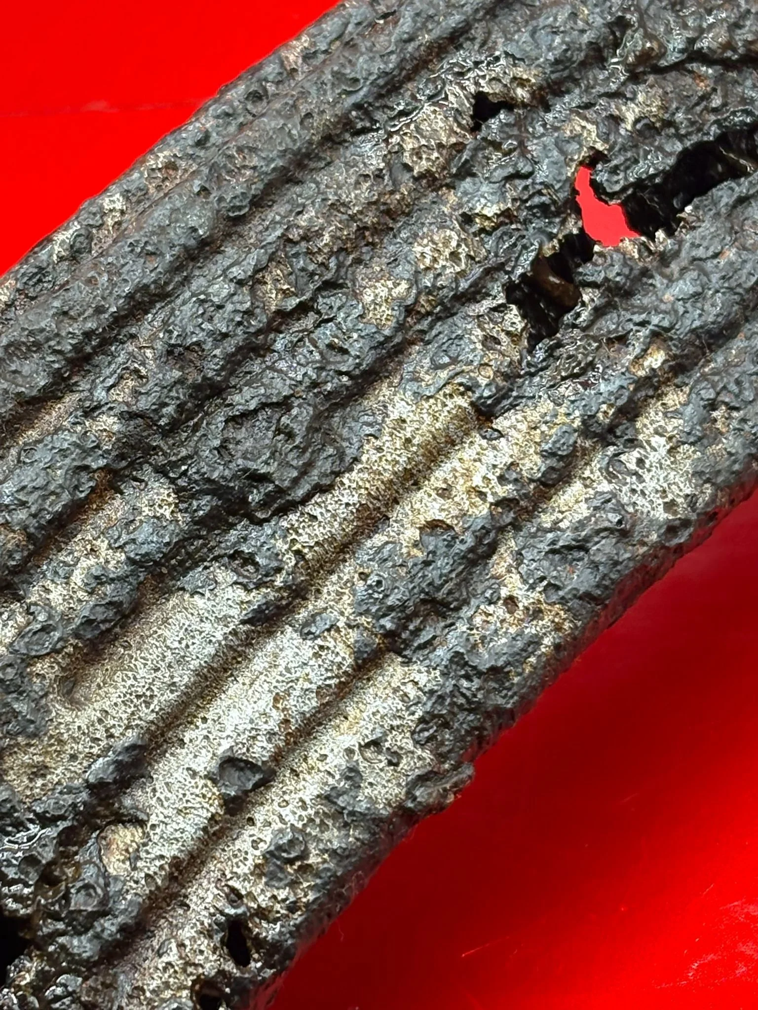 WhatsApp Image 2025-11-24 at 12.49.49 (3).jpeg