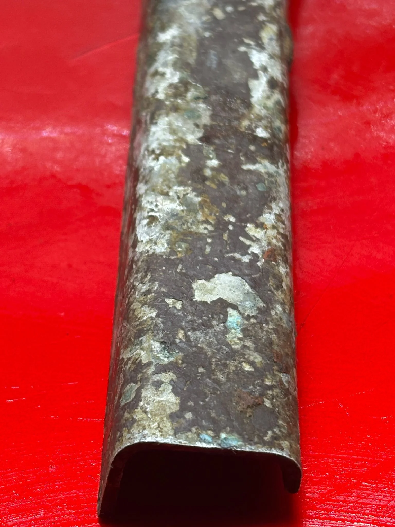 WhatsApp Image 2026-02-10 at 14.59.59.jpeg