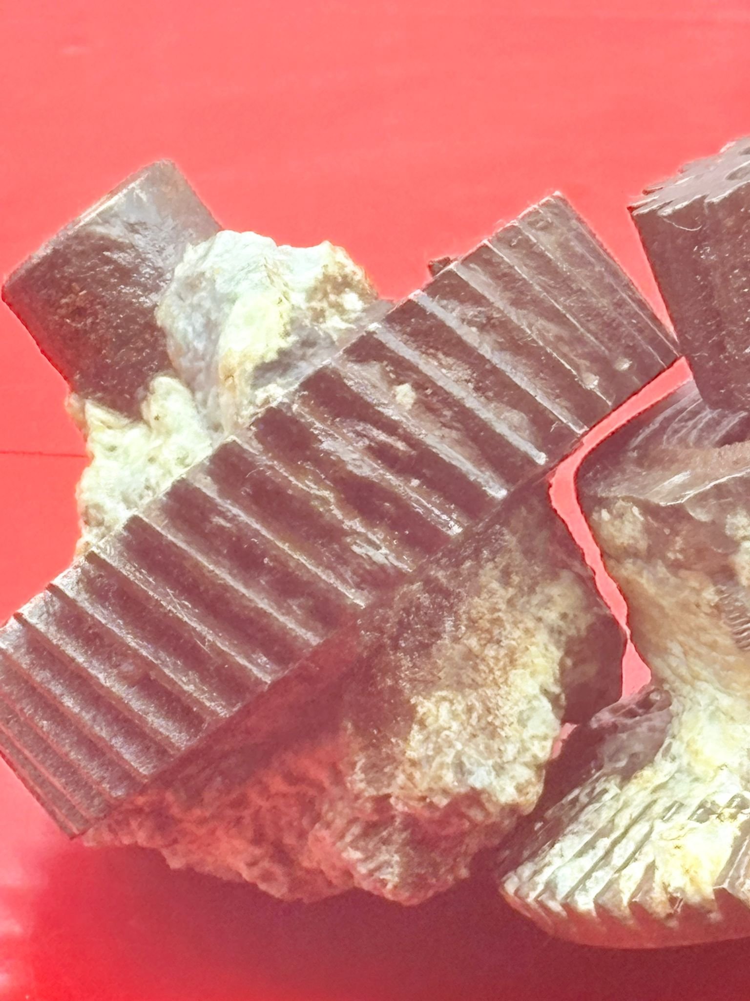 WhatsApp Image 2025-12-08 at 16.51.40.jpeg