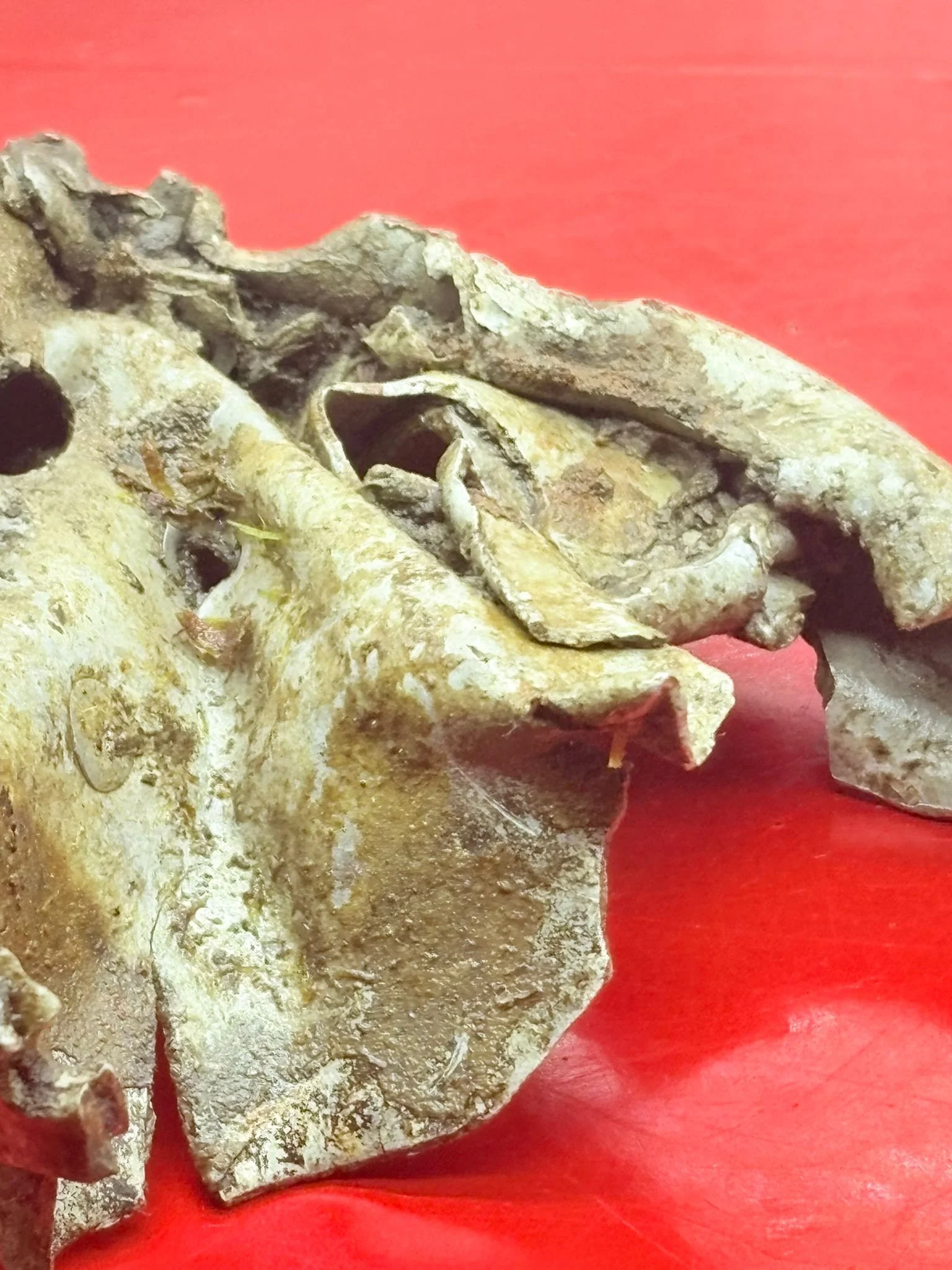 WhatsApp Image 2025-12-08 at 15.42.52 (2).jpeg