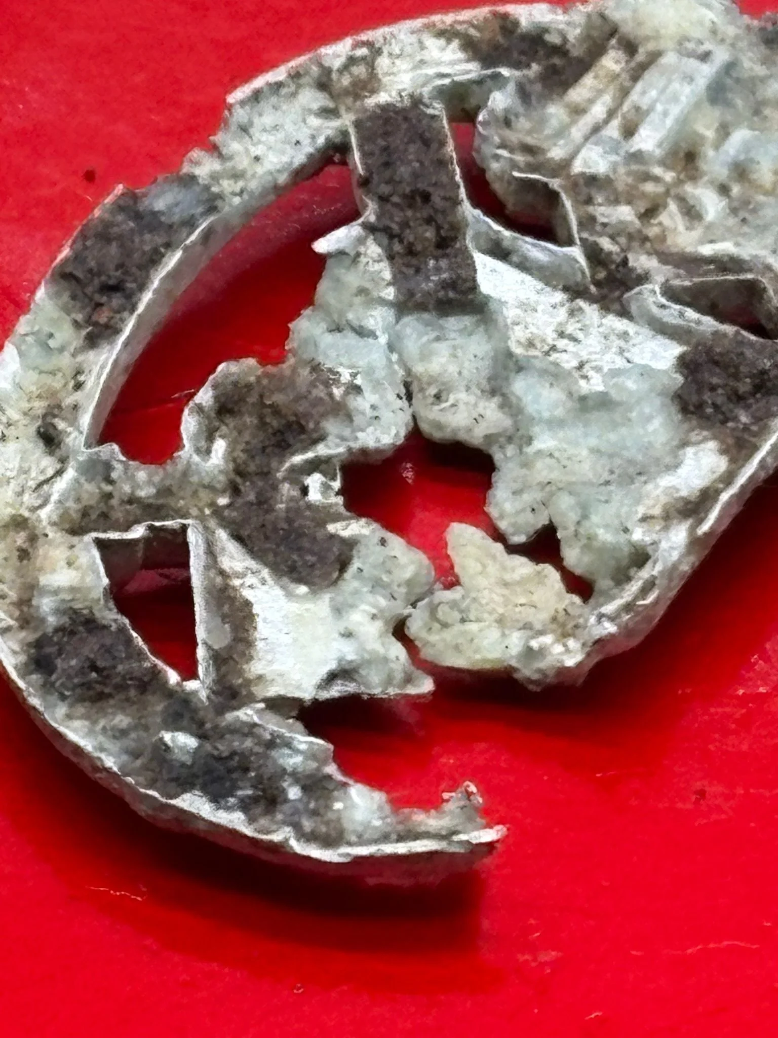 WhatsApp Image 2025-11-24 at 12.40.53 (6).jpeg