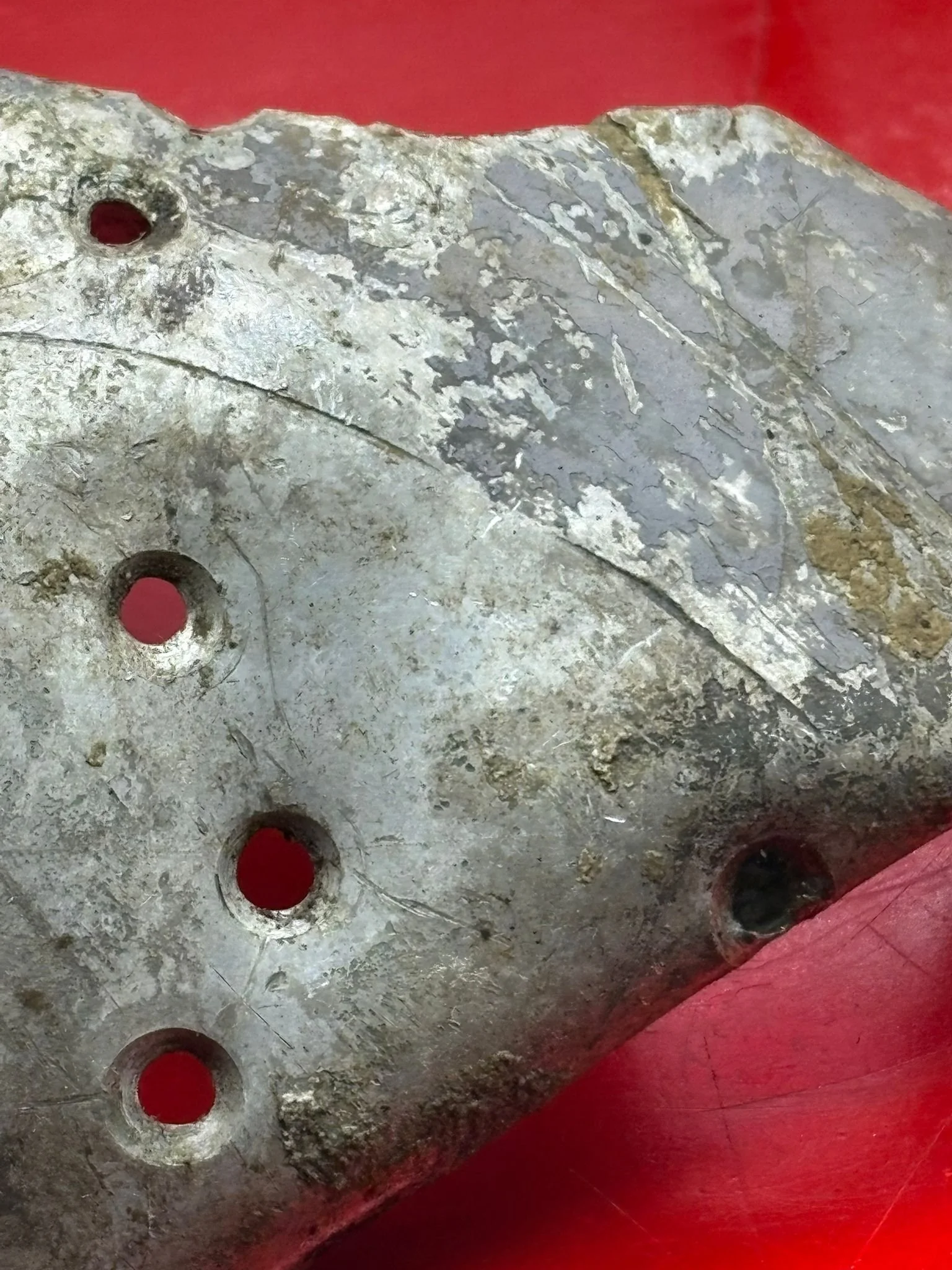 WhatsApp Image 2026-02-10 at 11.58.39 (6).jpeg