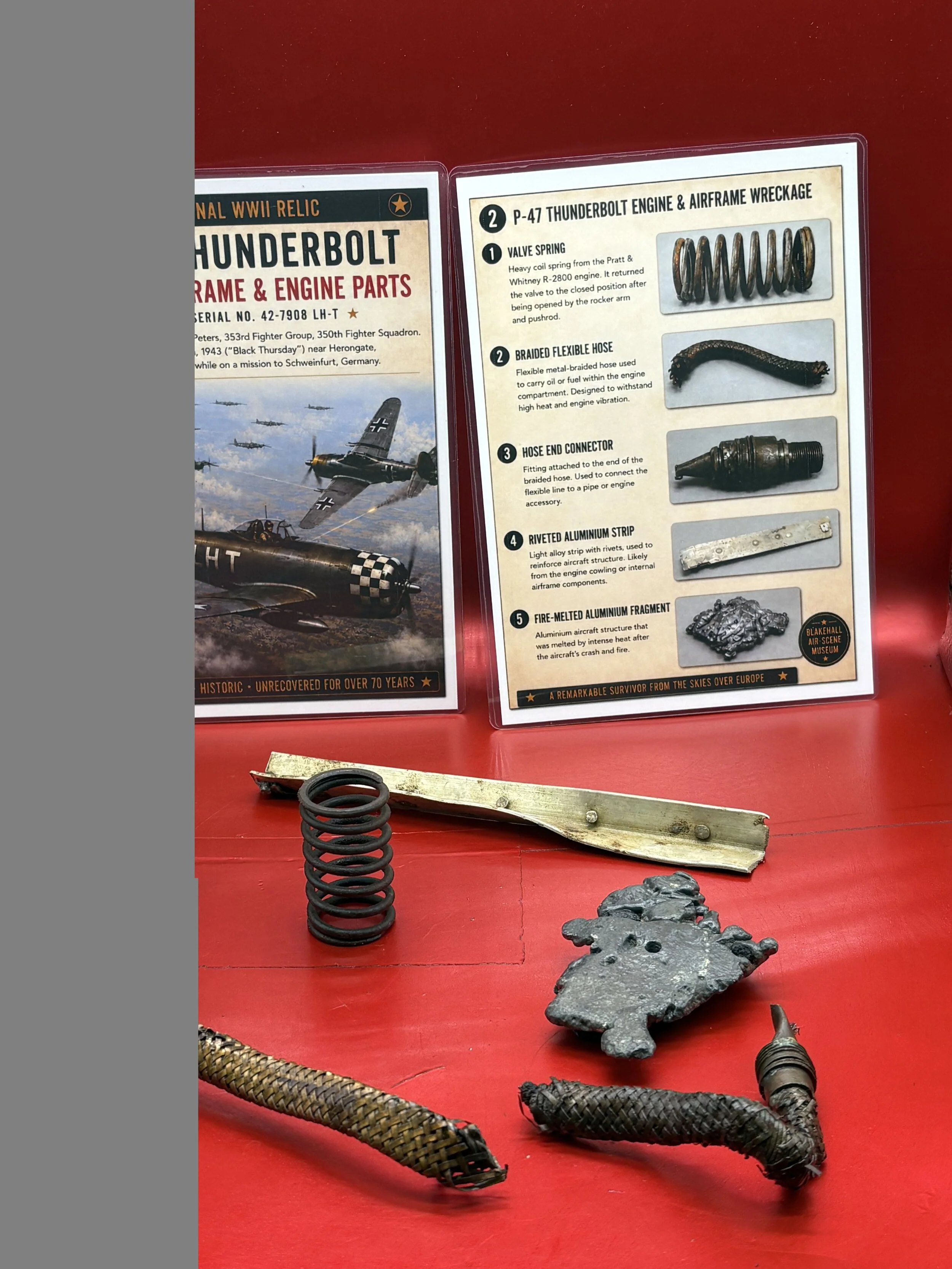 IMG_8415.JPG