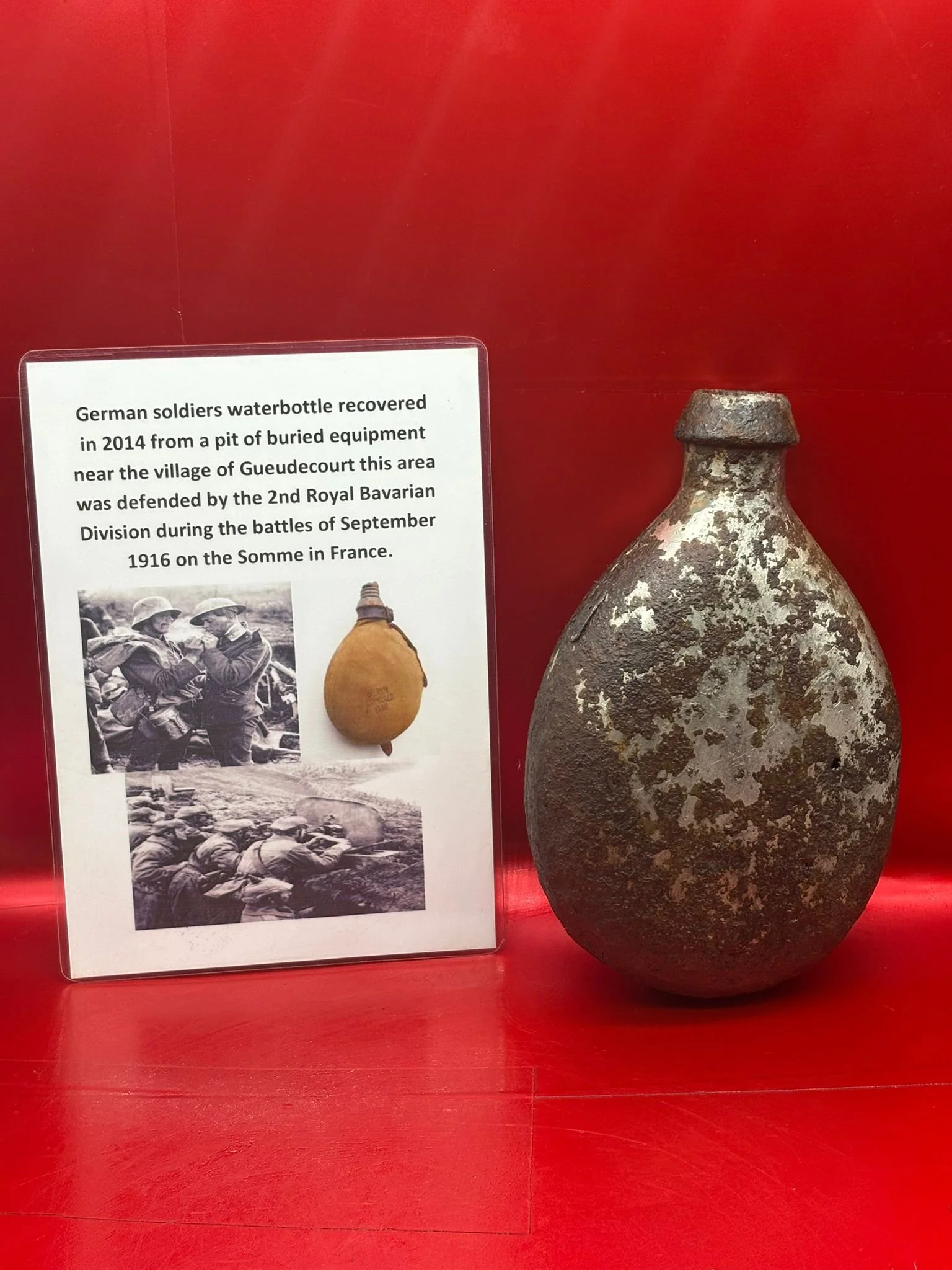 WhatsApp Image 2025-11-11 at 10.23.59.jpeg