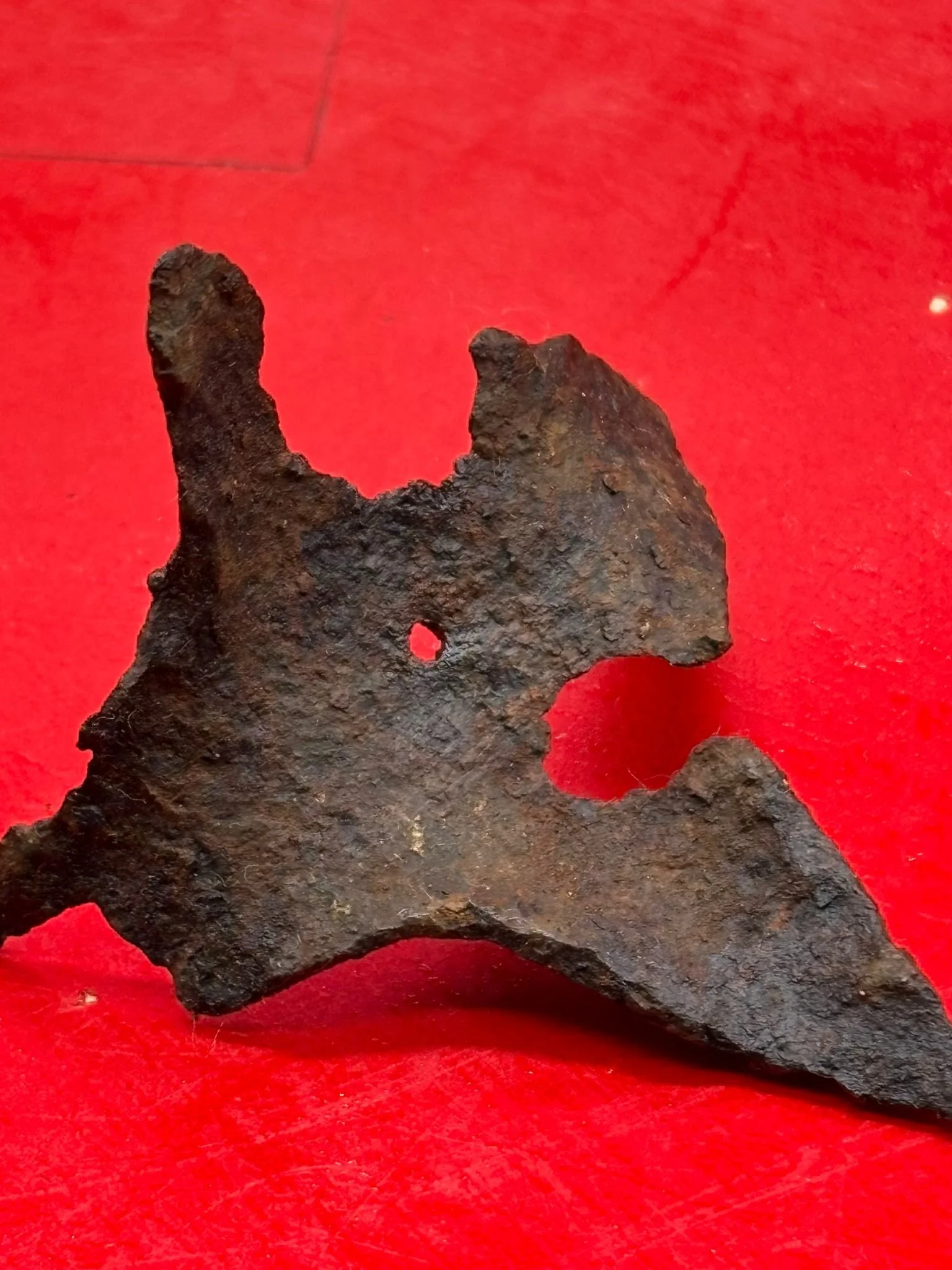 WhatsApp Image 2025-11-12 at 13.14.39 (4).jpeg