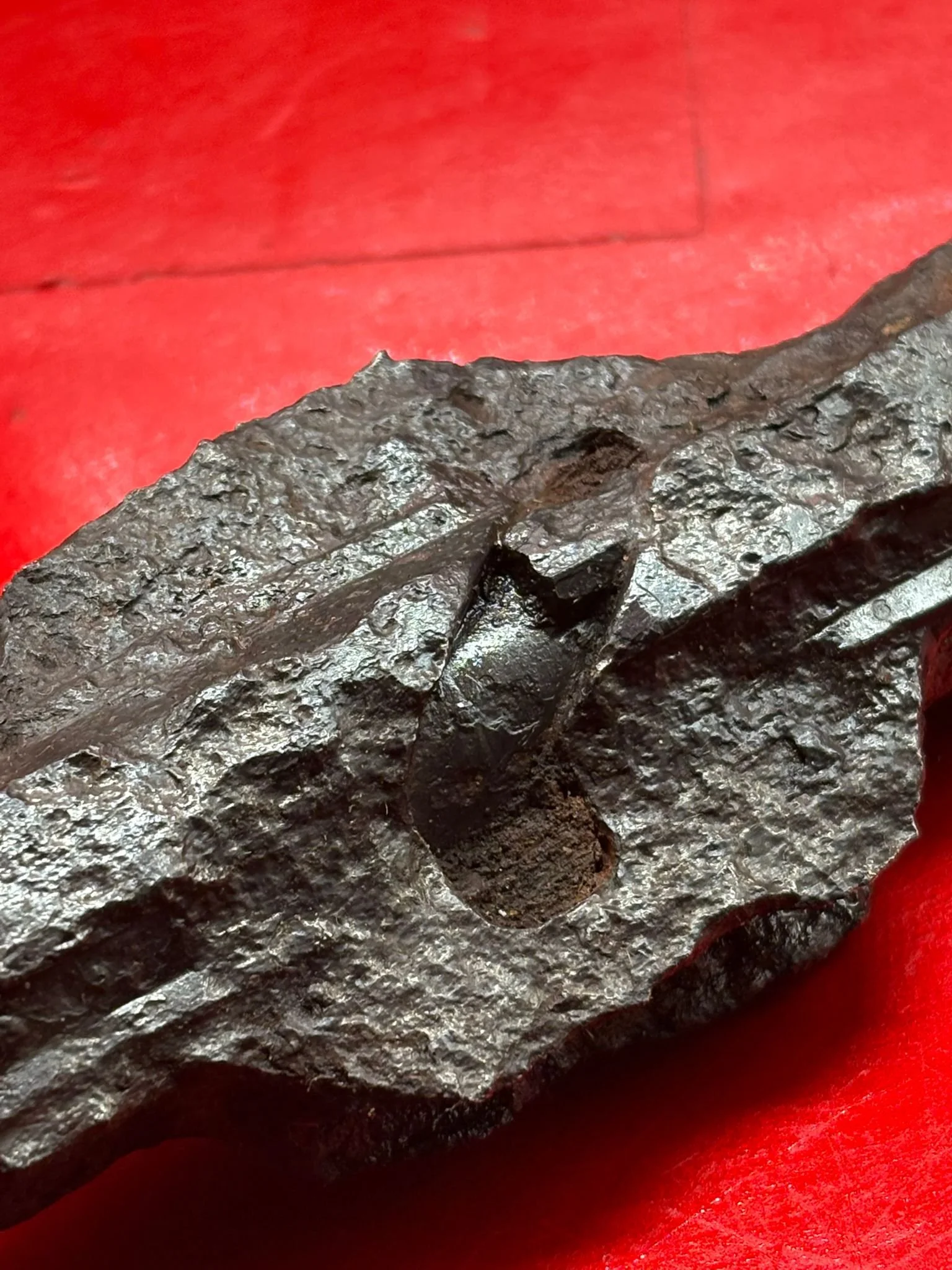 WhatsApp Image 2025-10-22 at 18.16.59 (4).jpeg