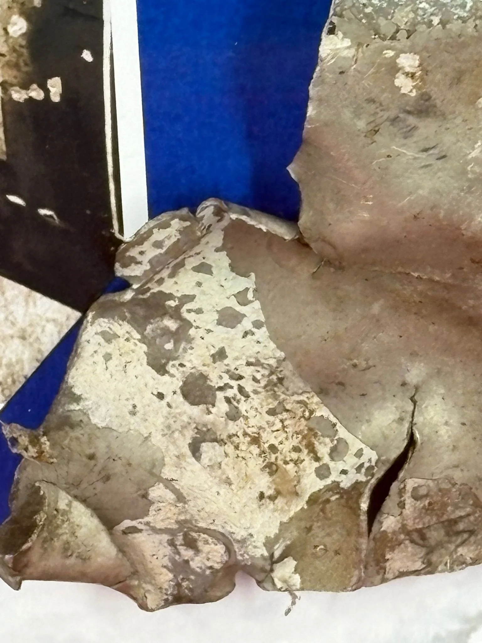 WhatsApp Image 2025-12-01 at 15.40.12.jpeg