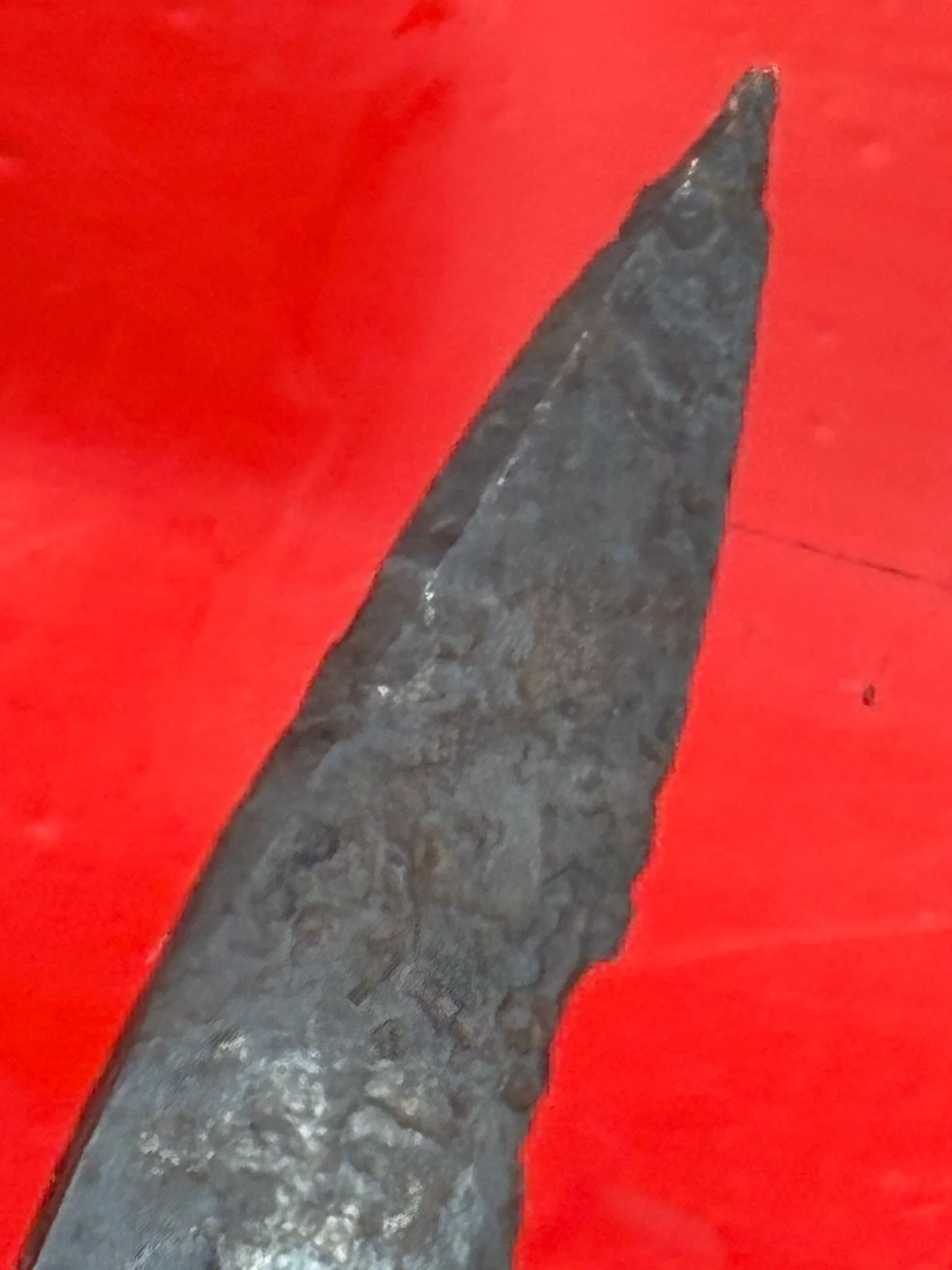 WhatsApp Image 2025-10-27 at 15.35.58 (3).jpeg