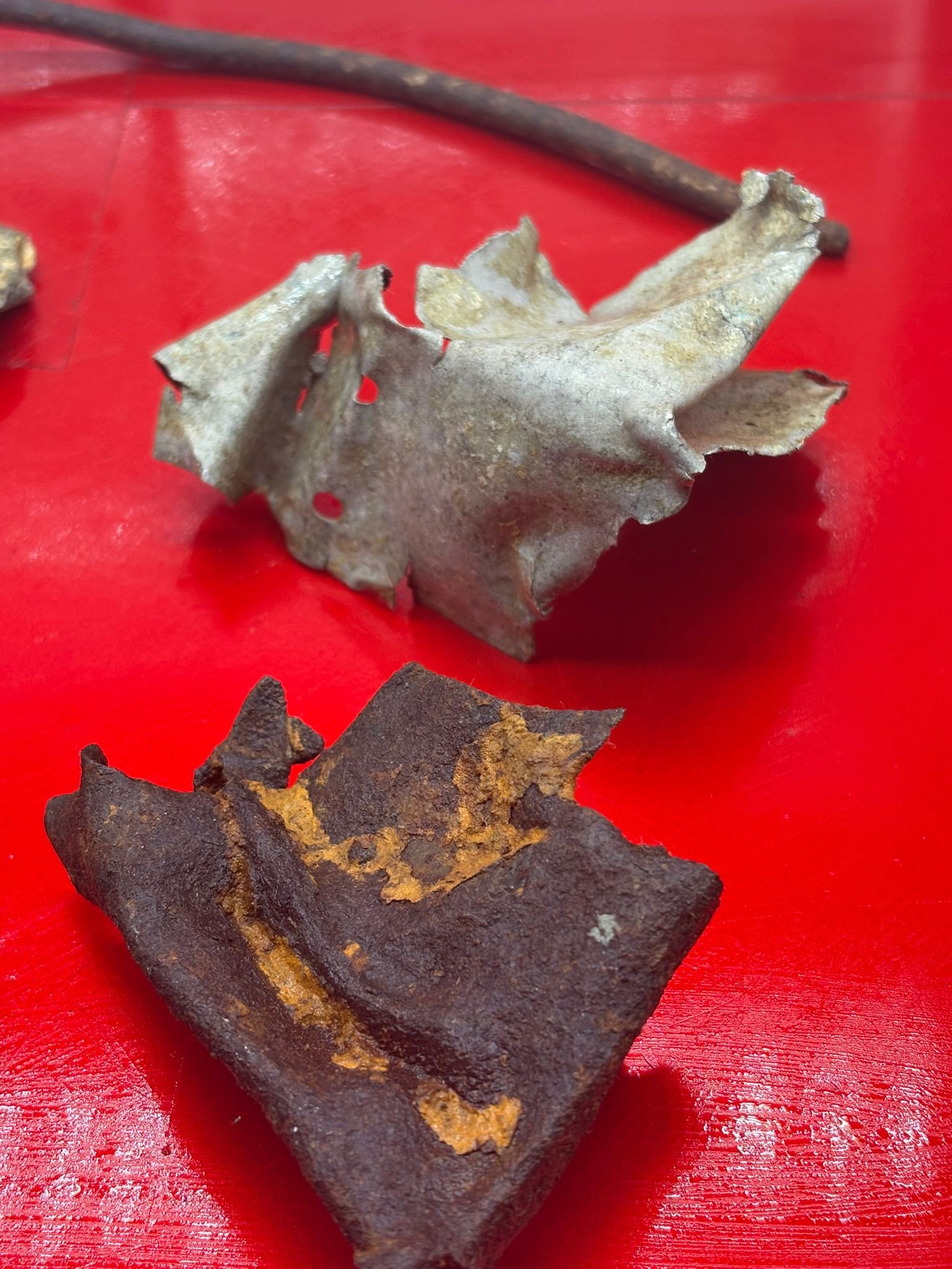 WhatsApp Image 2026-03-12 at 14.21.10 (1).jpeg