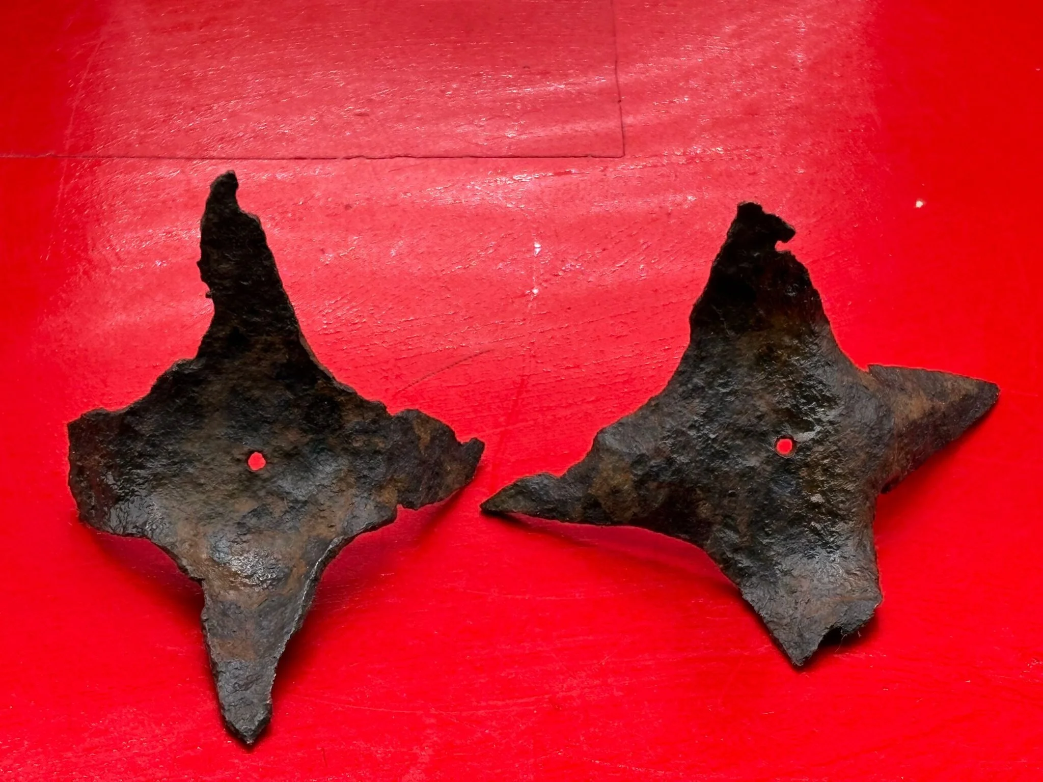 WhatsApp Image 2025-11-12 at 13.14.19 (1).jpeg