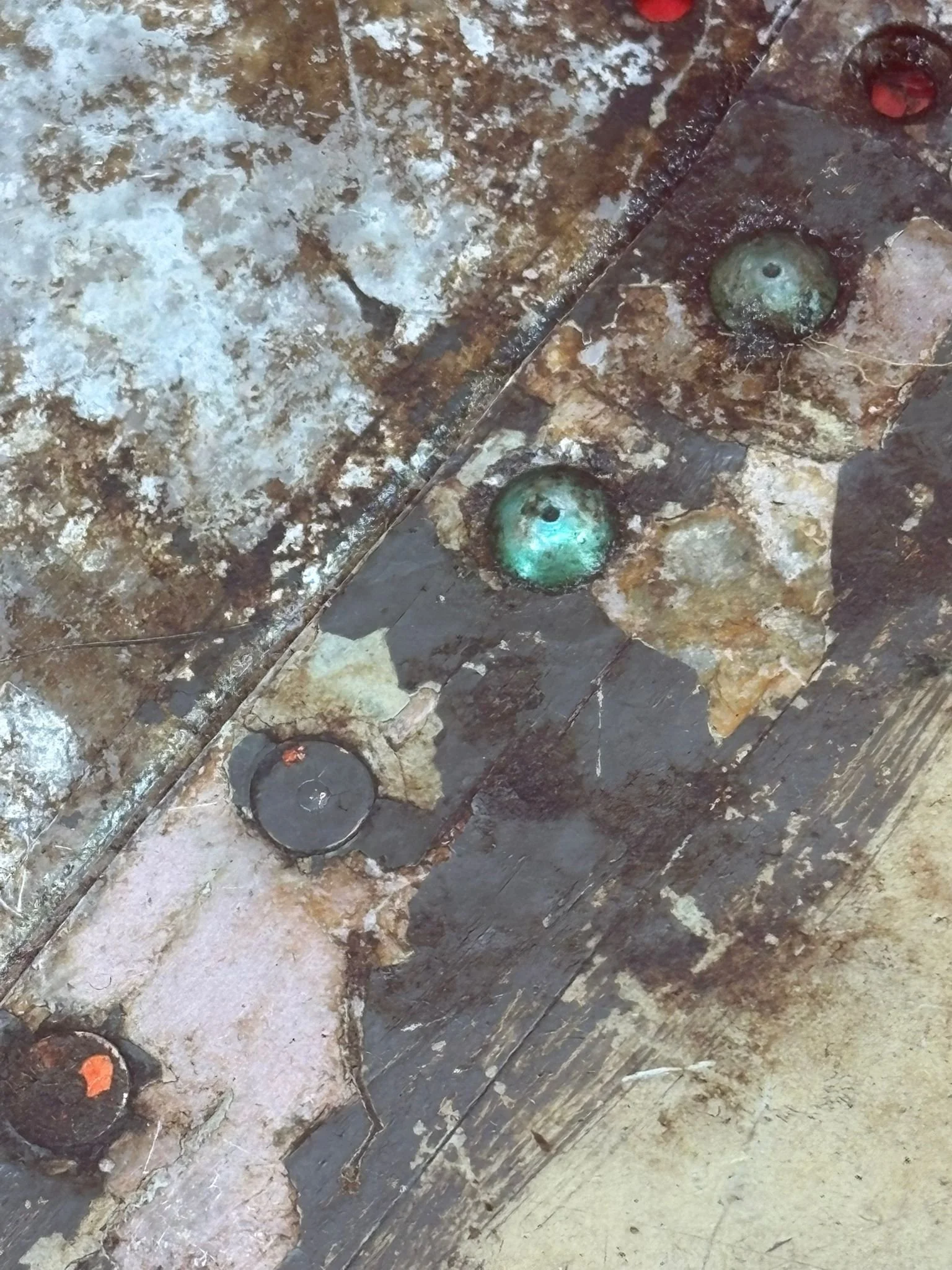 WhatsApp Image 2026-02-13 at 16.30.55 (2).jpeg