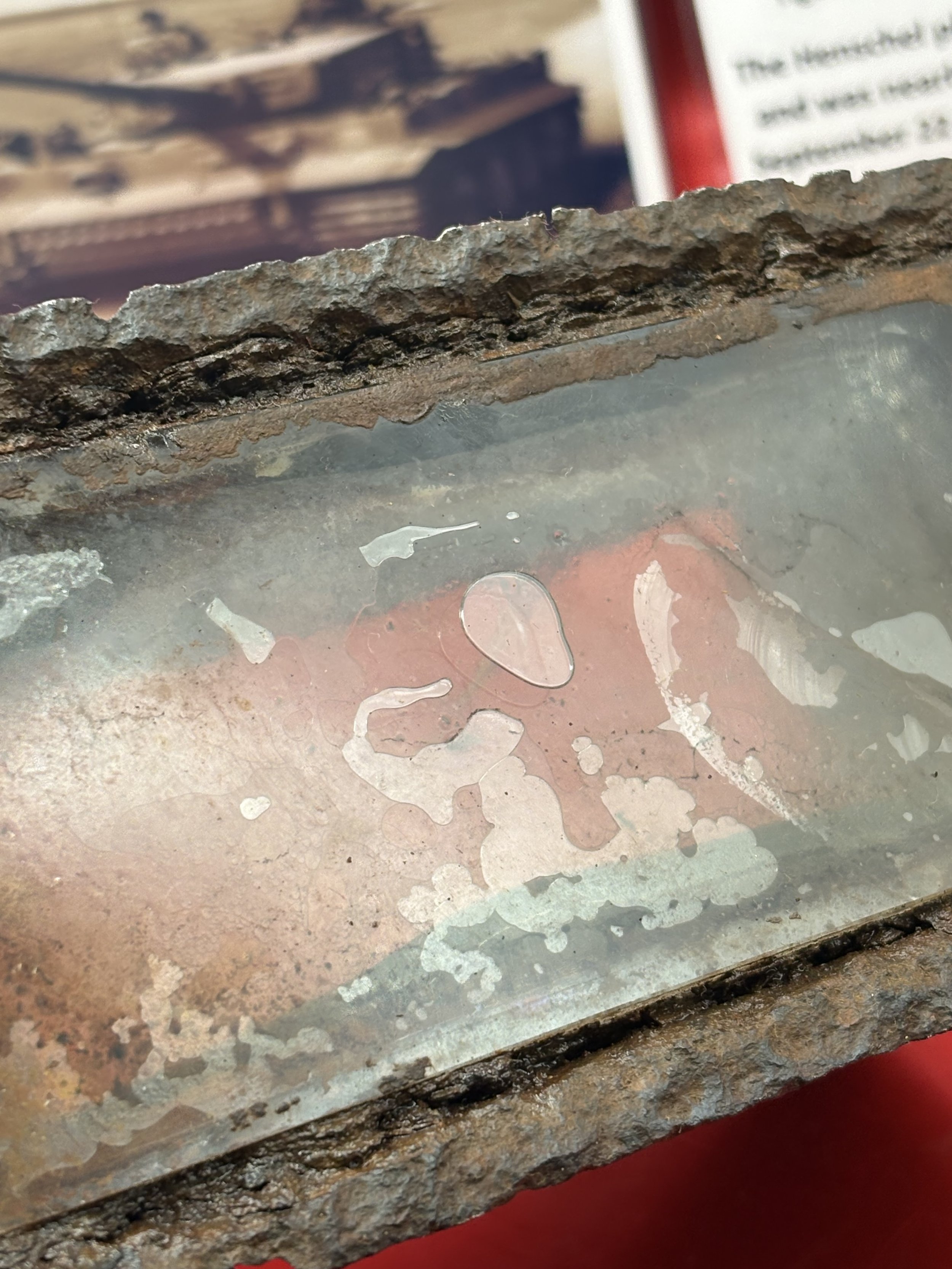IMG_5302.JPG