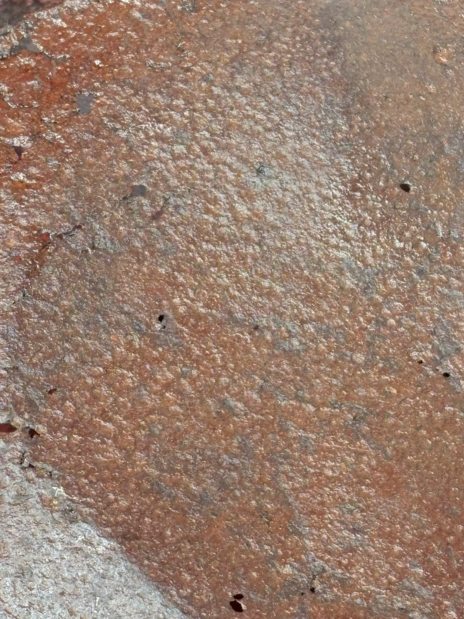 WhatsApp Image 2025-10-24 at 16.19.14.jpeg