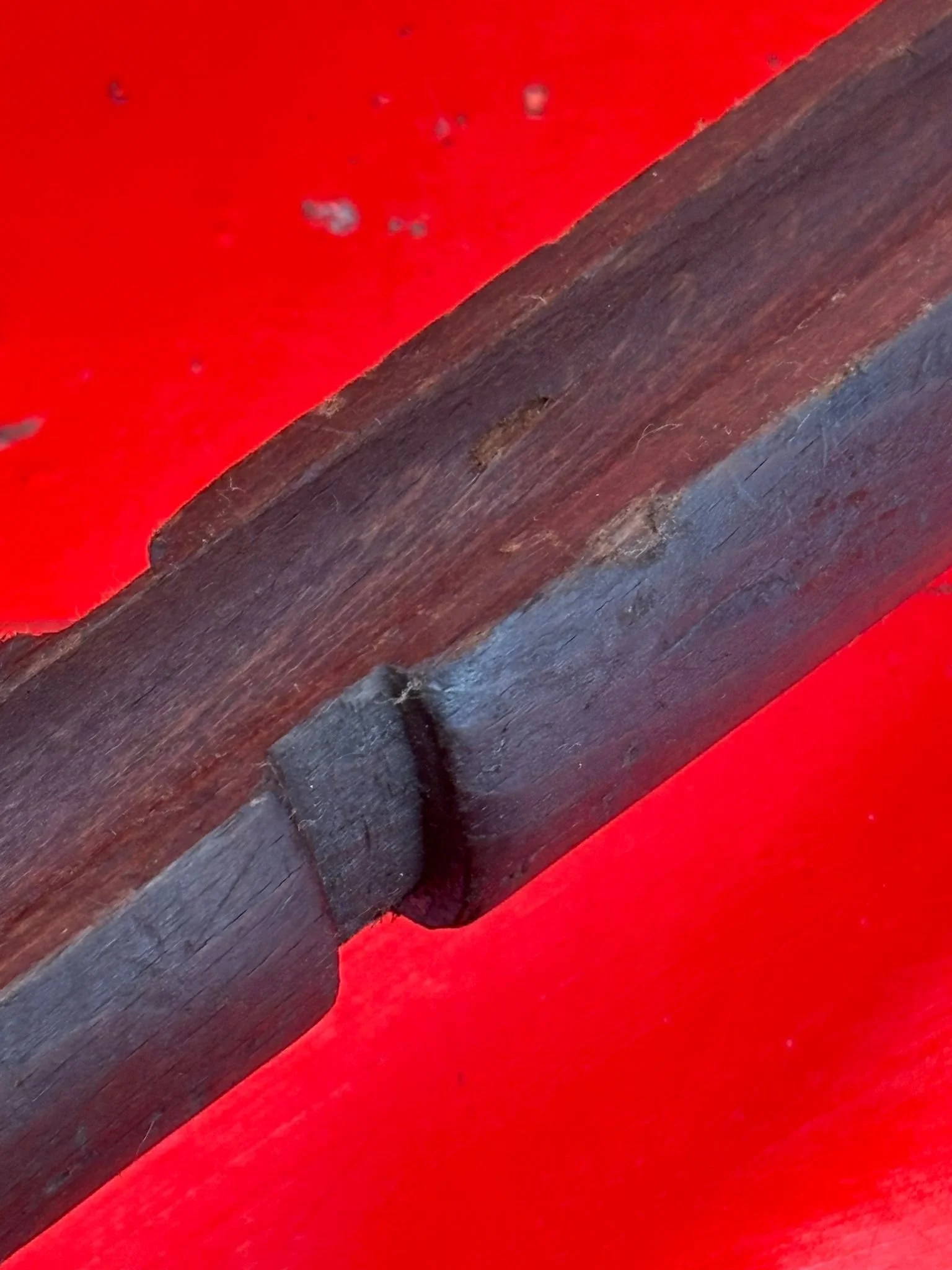 WhatsApp Image 2025-11-16 at 15.05.20 (5).jpeg