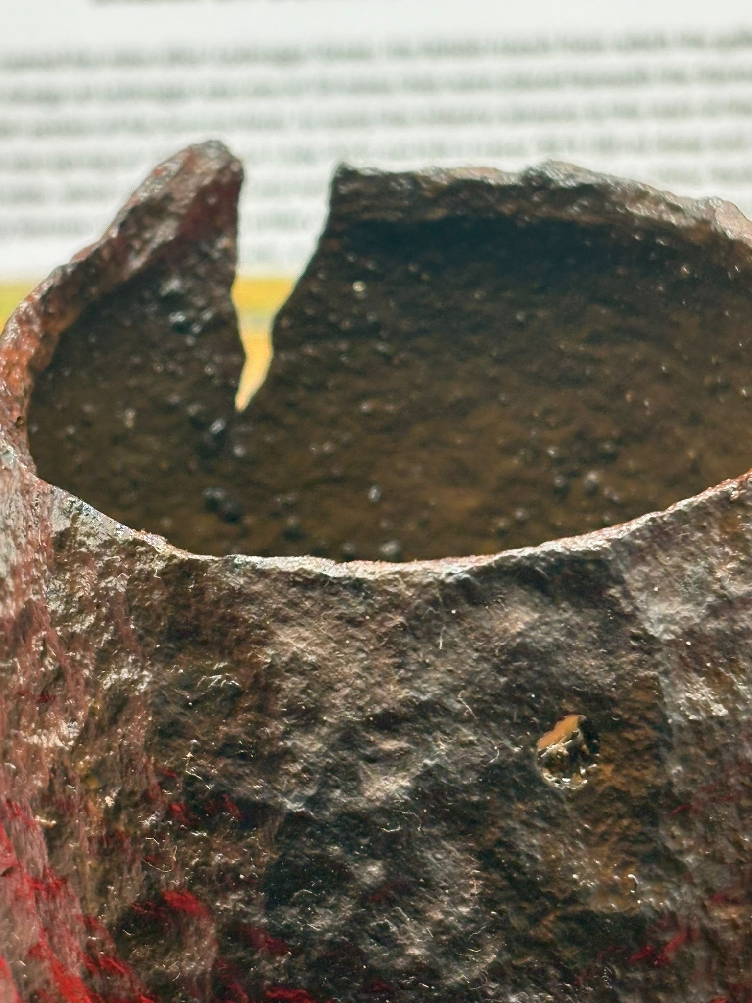 WhatsApp Image 2025-11-12 at 15.00.46 (4).jpeg