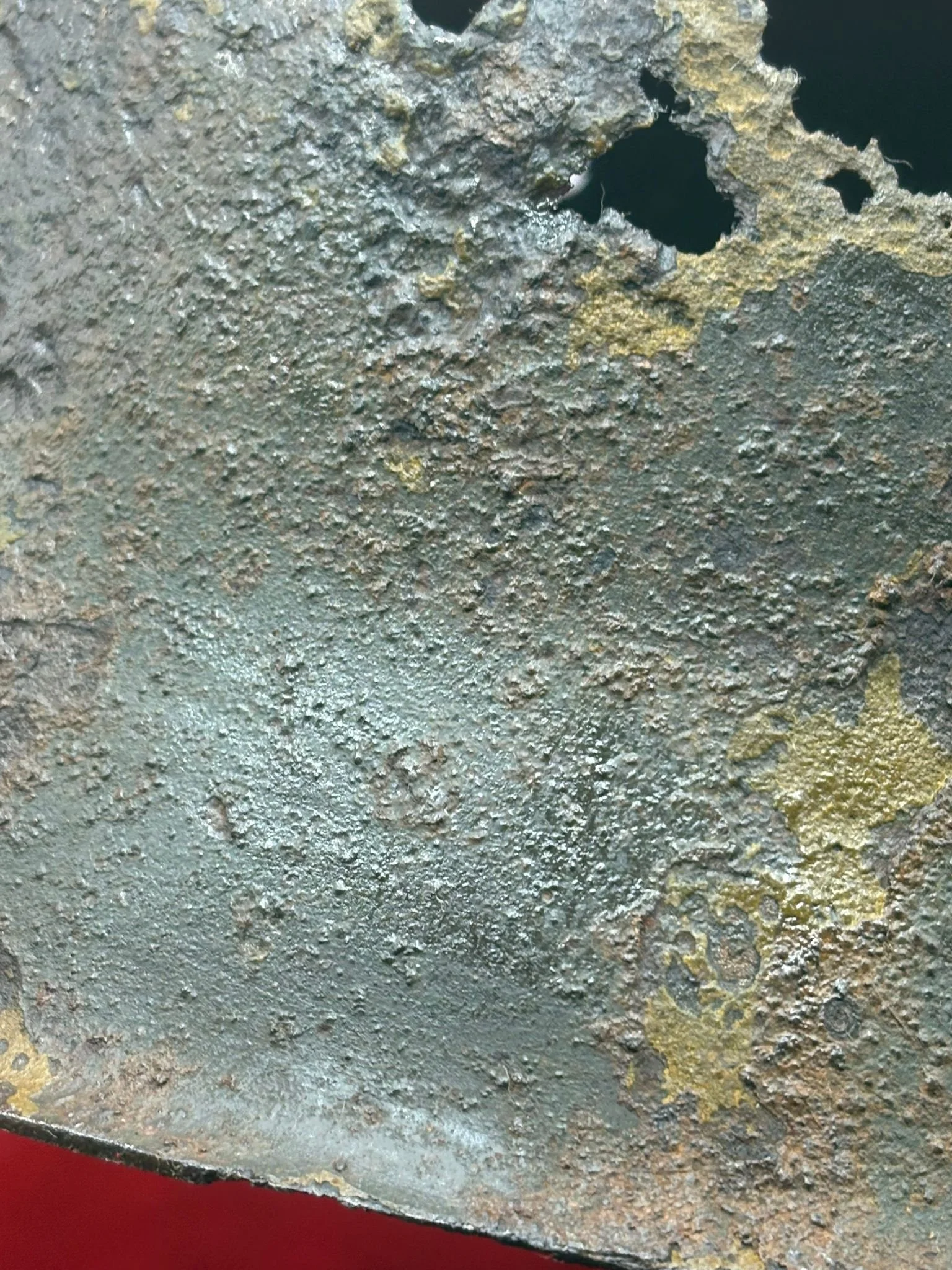 WhatsApp Image 2025-11-06 at 20.42.42 (3).jpeg