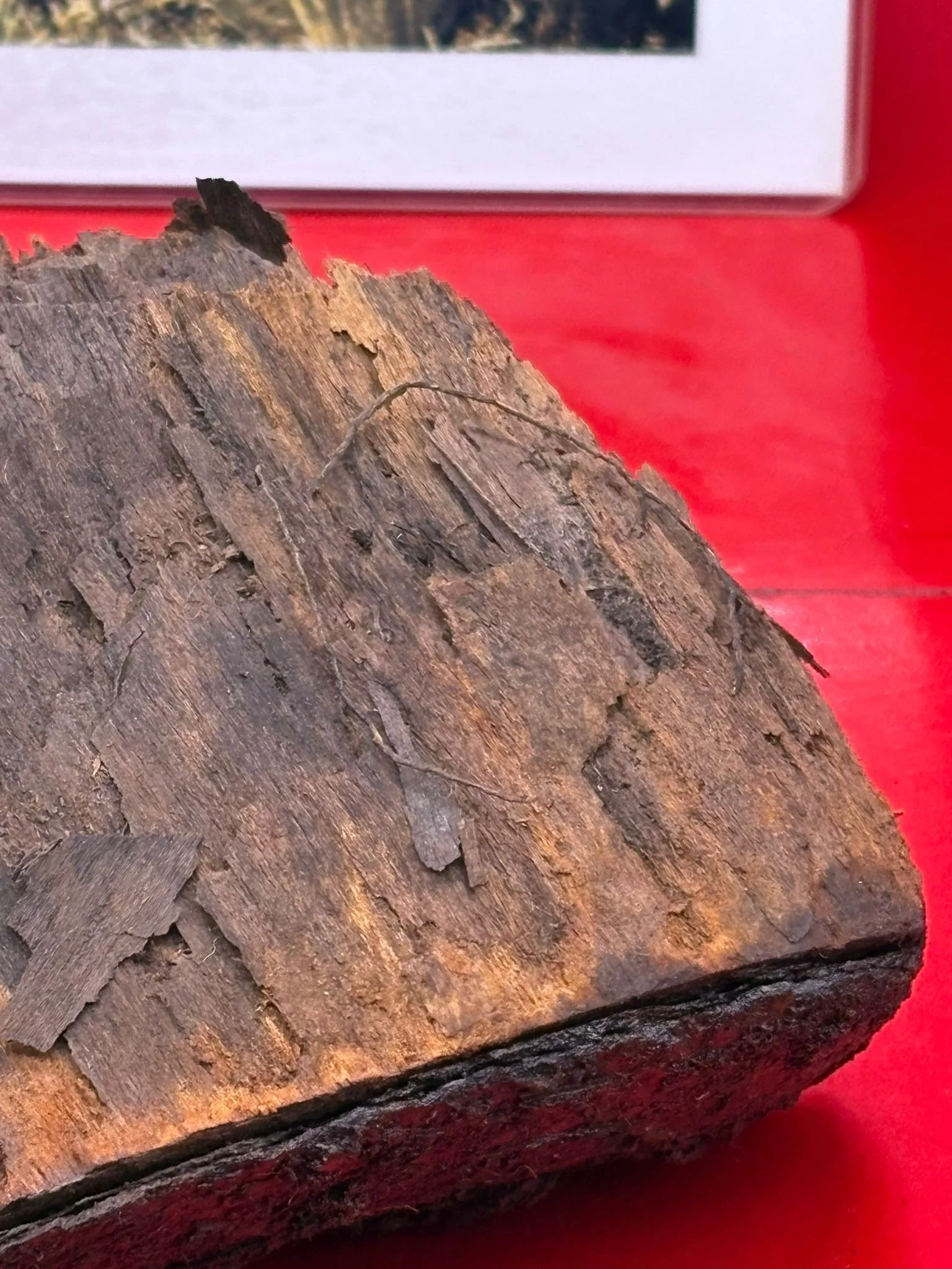 WhatsApp Image 2025-10-24 at 13.38.42 (4).jpeg