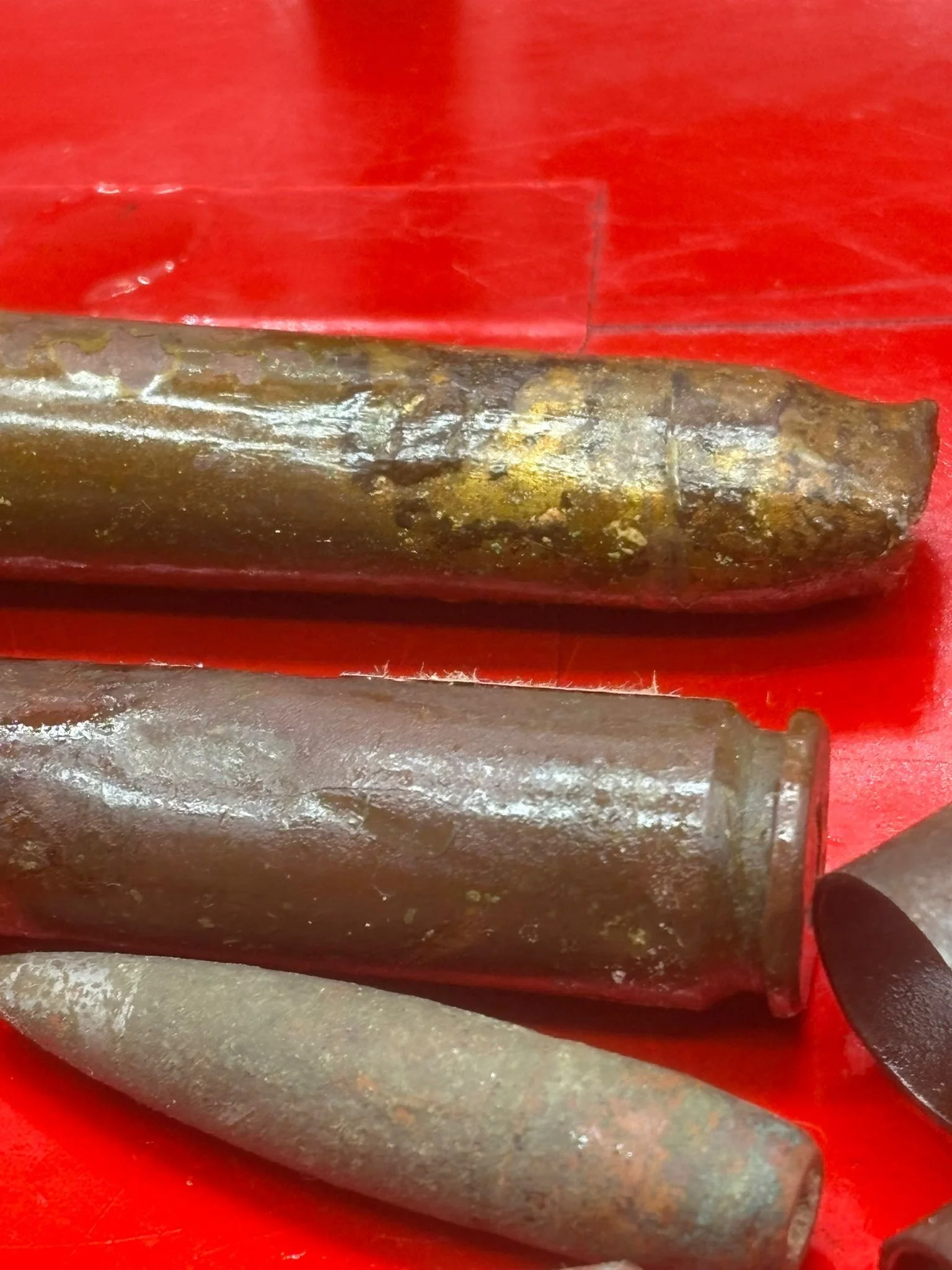 WhatsApp Image 2026-02-13 at 16.08.36.jpeg