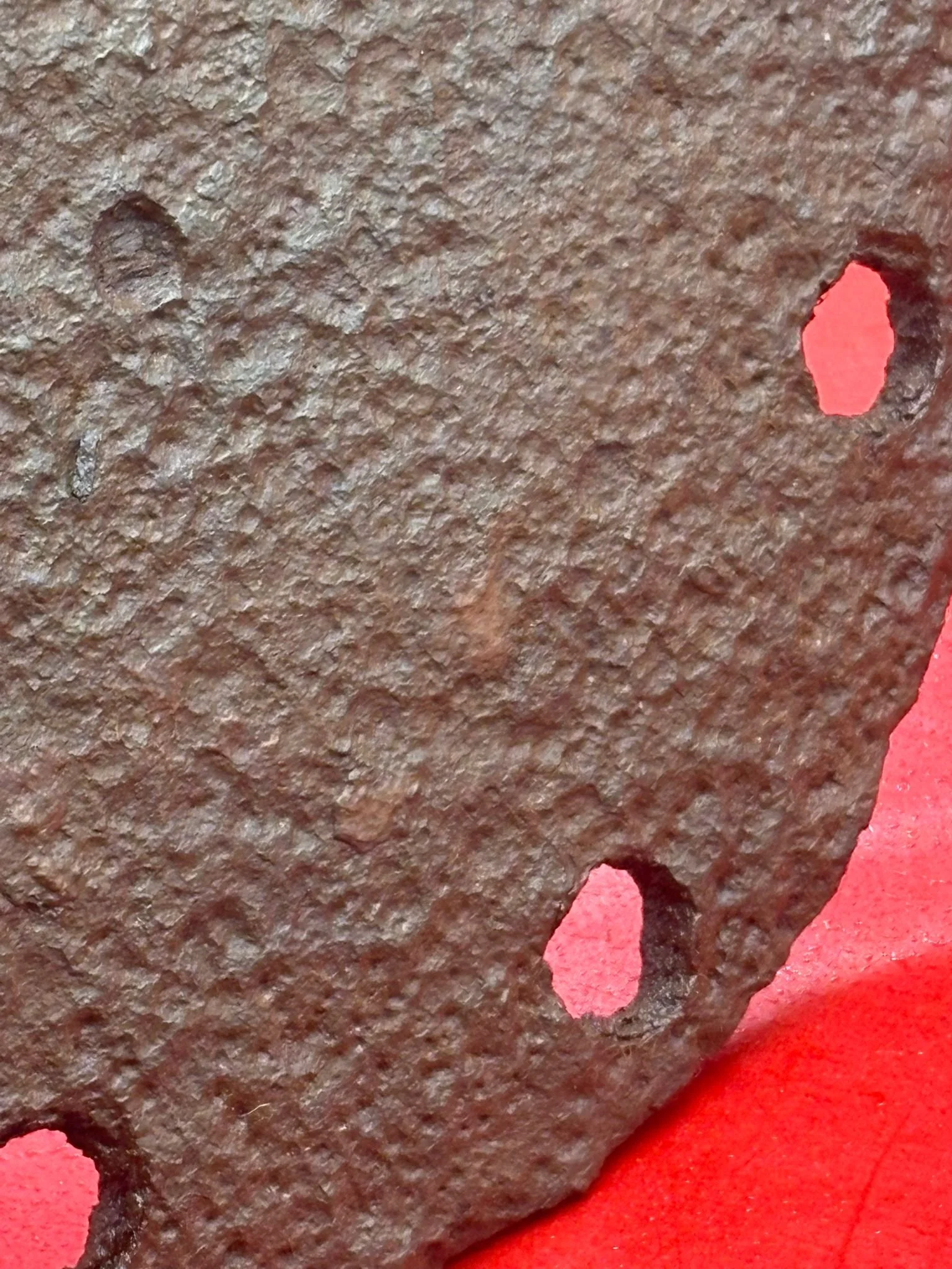 WhatsApp Image 2025-11-18 at 15.13.29 (2).jpeg